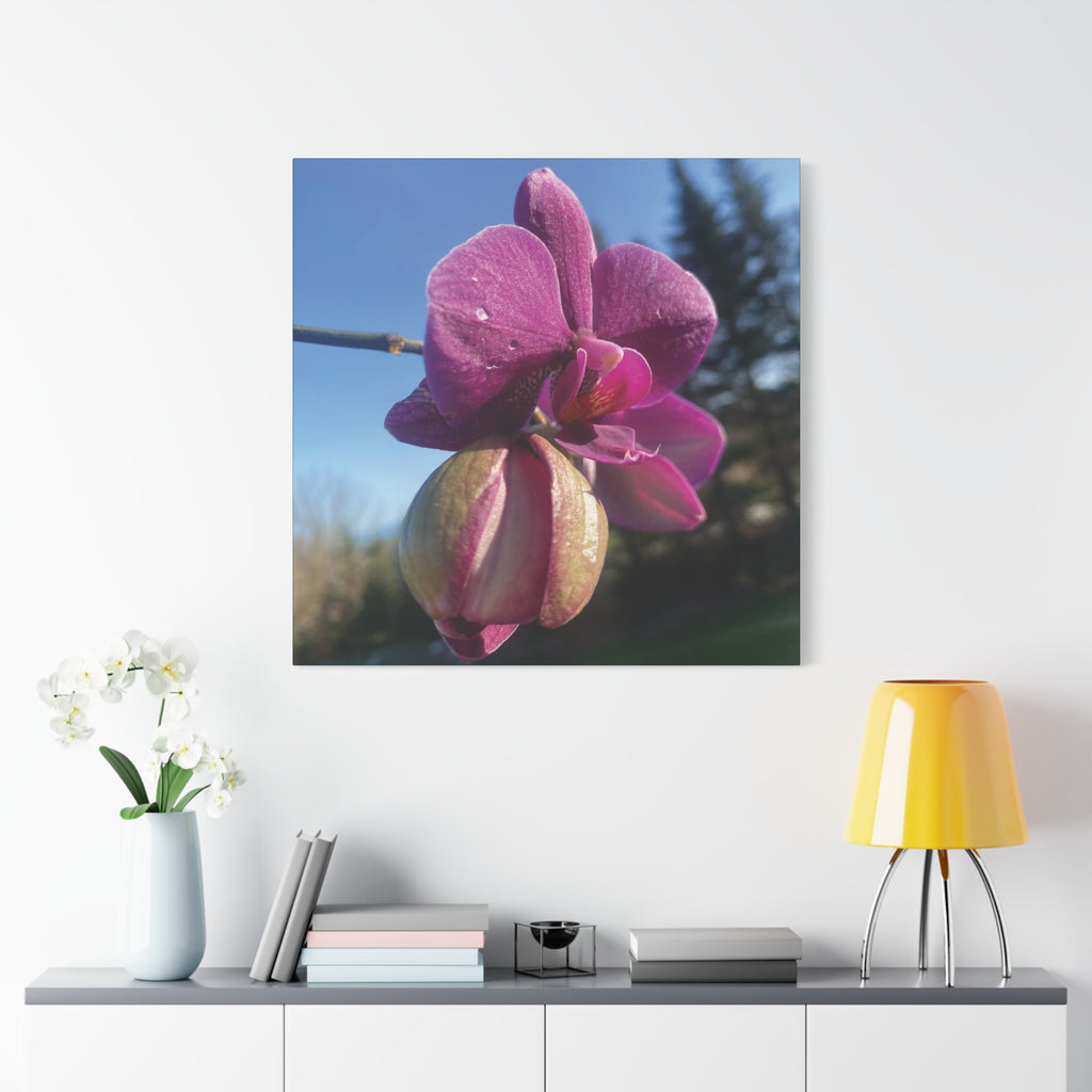 Fuchsia Orchid c Matte Canvas Wall Art — Stretched 1.25"