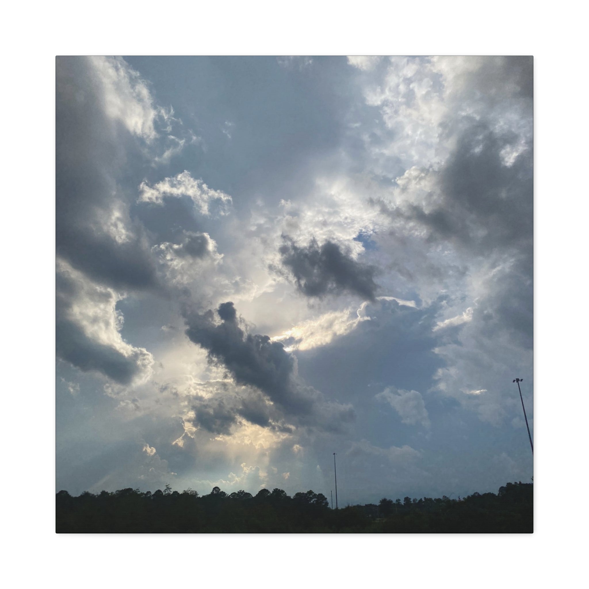Florida Midday Photo Canvas Print — Matte Stretched Wall Art
