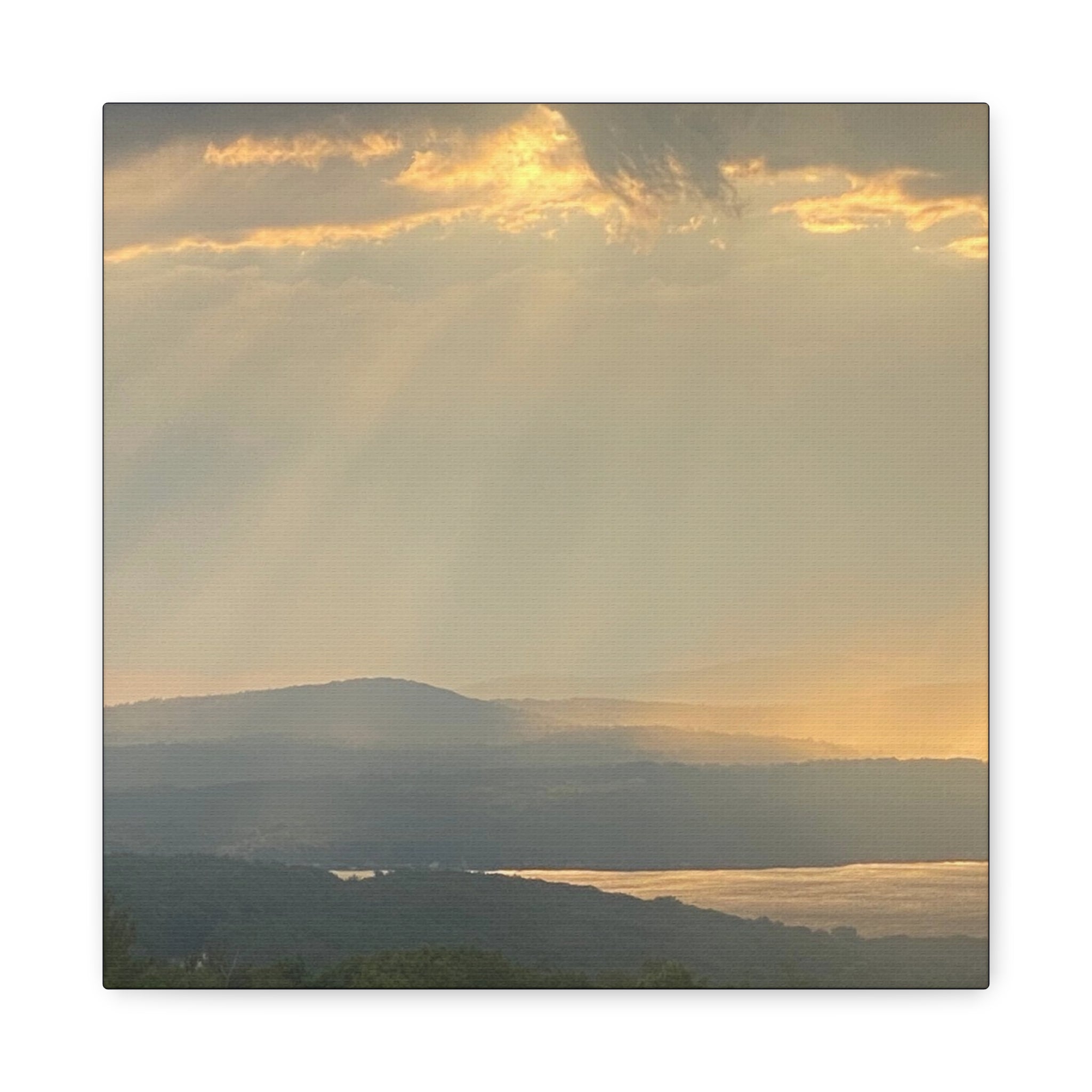 Pale Gold Mist Photo- Matte Stretched Landscape Print