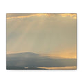 Pale Gold Mist Photo- Matte Stretched Landscape Print