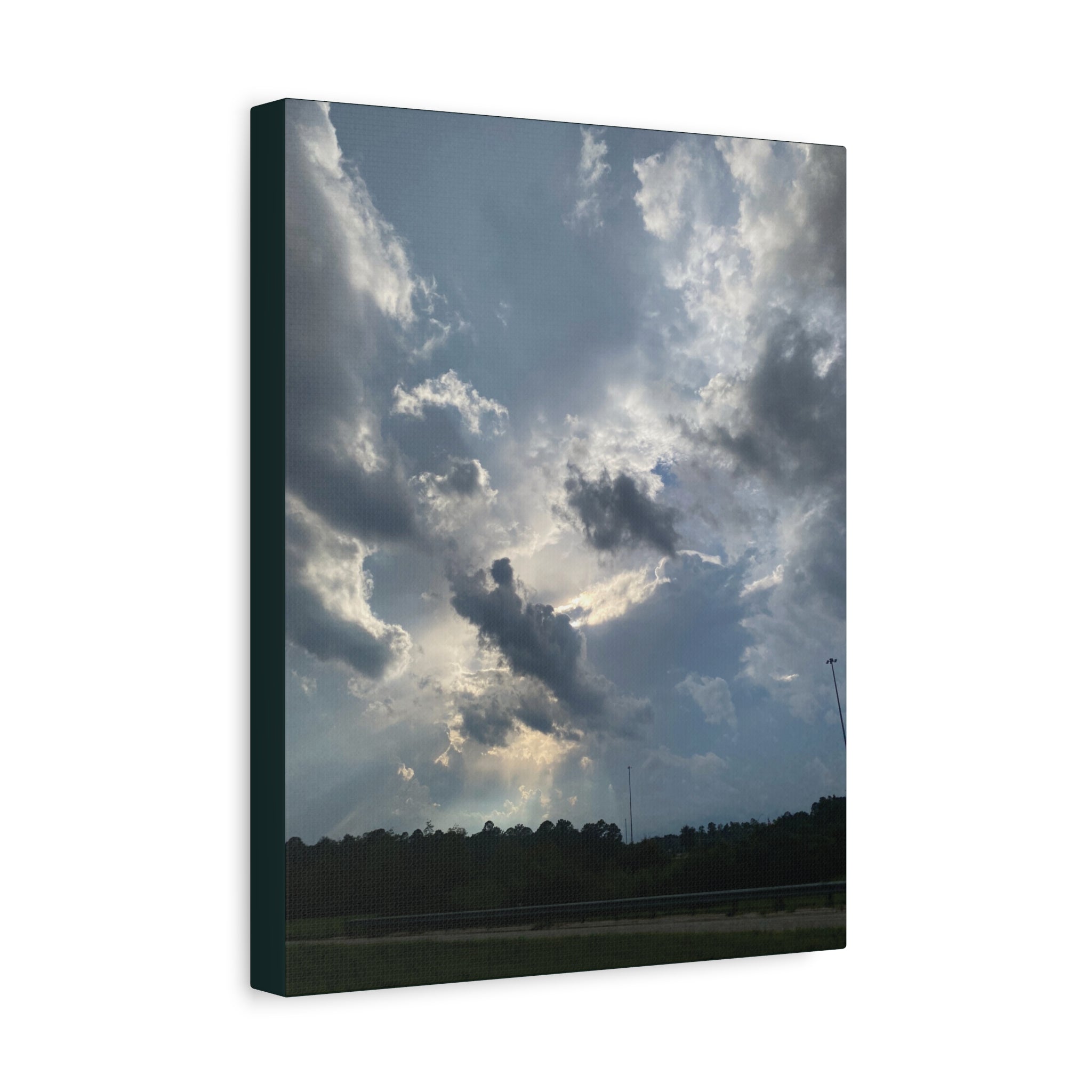 Florida Midday Photo Canvas Print — Matte Stretched Wall Art