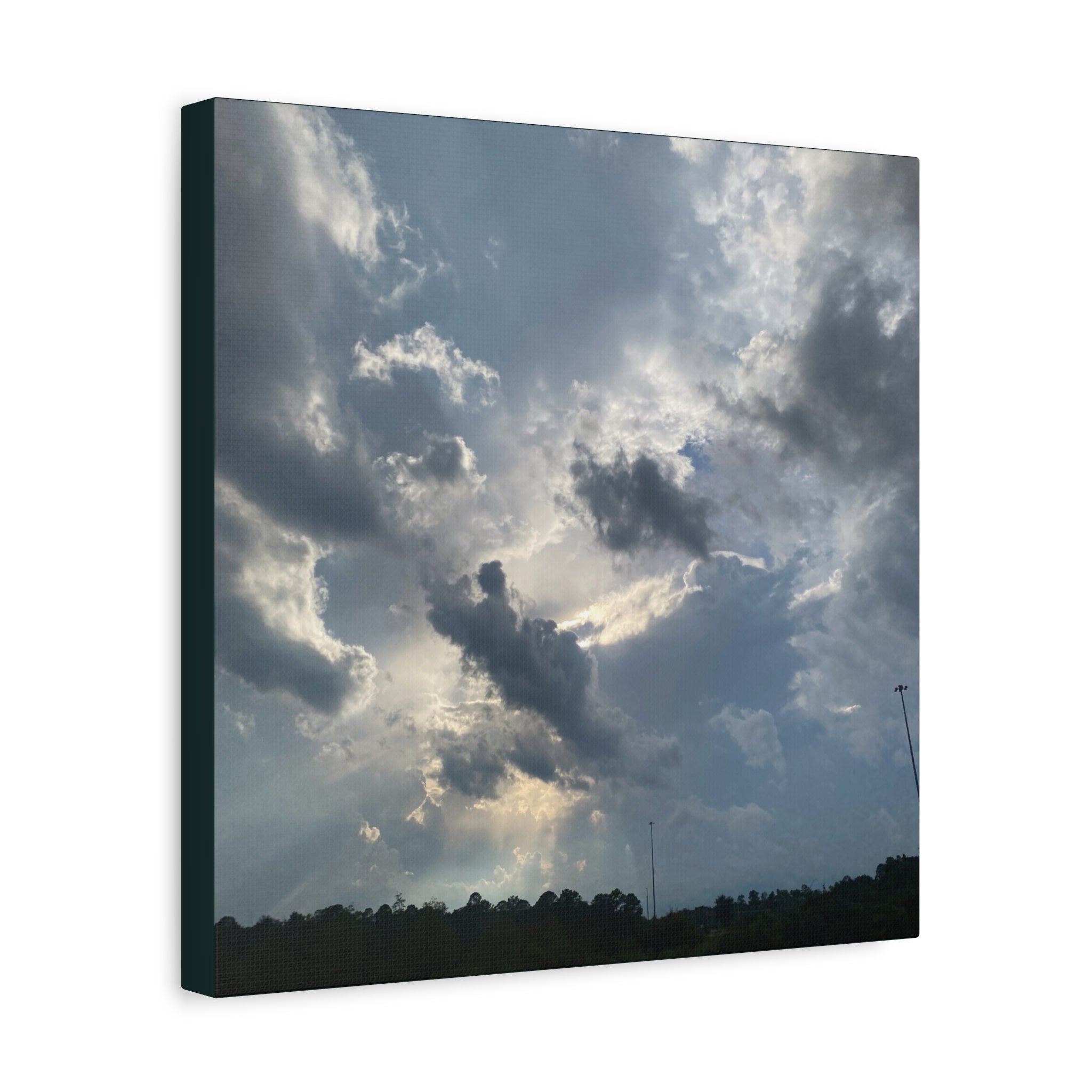 Florida Midday Photo Canvas Print — Matte Stretched Wall Art