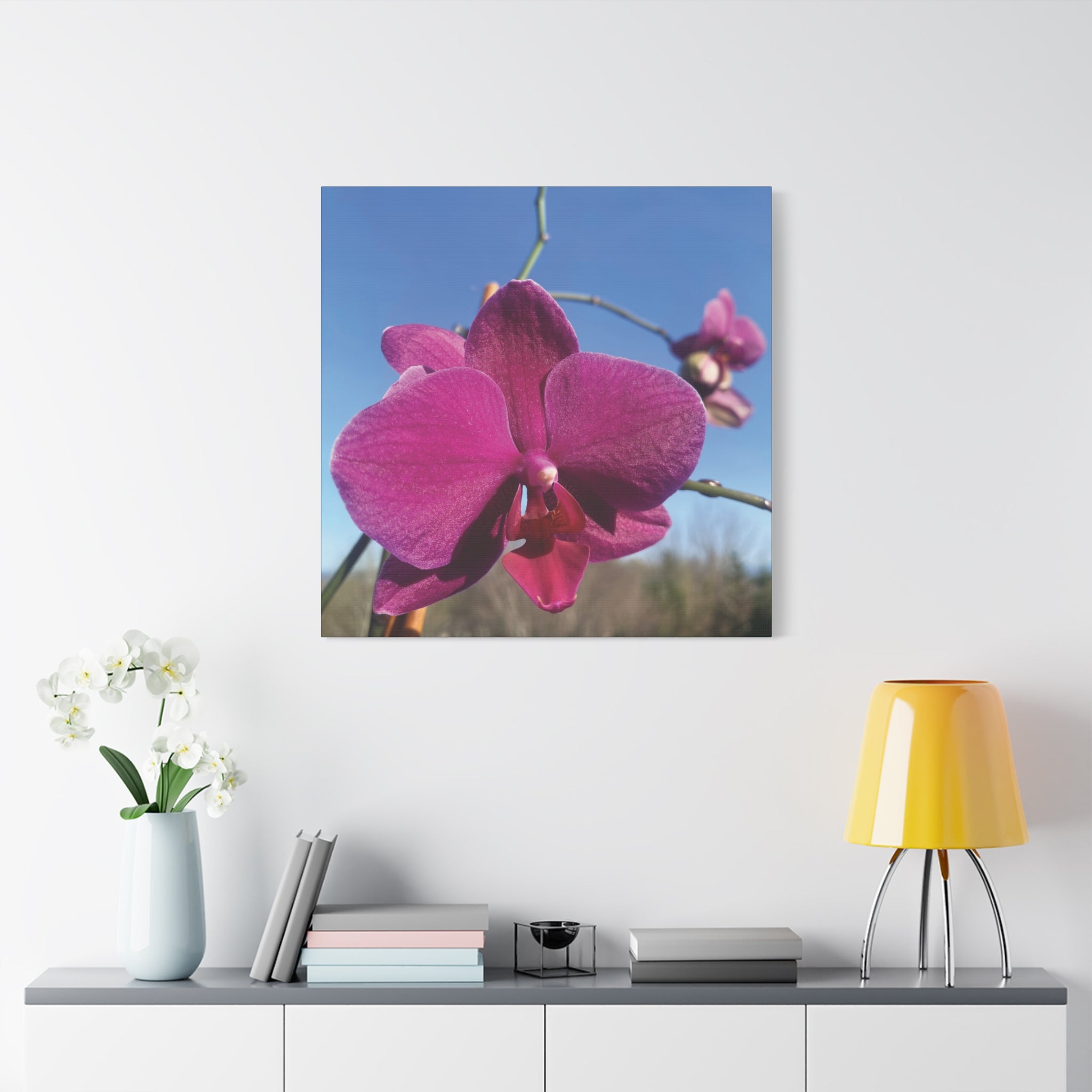Fuchsia Orchid a Spring Photo Canvas Print — Matte Stretched 1.25"
