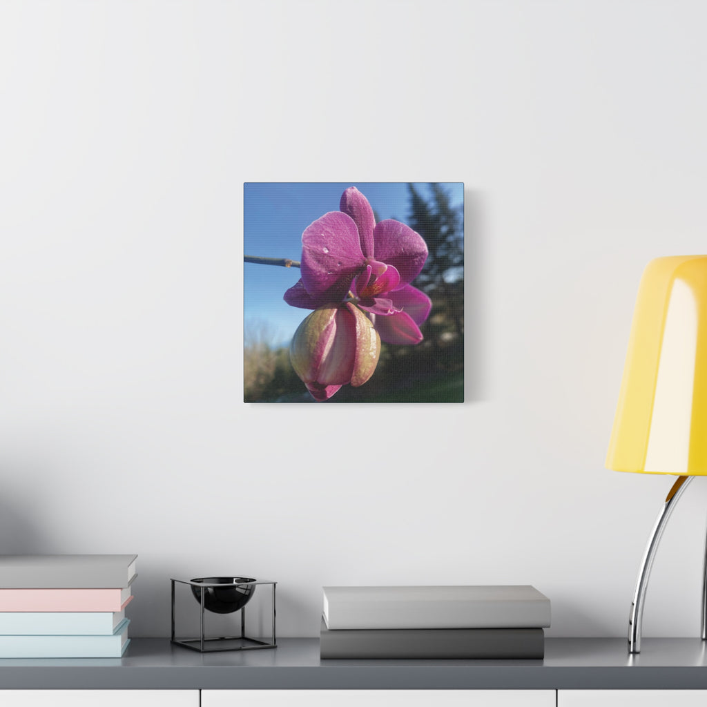 Fuchsia Orchid c Matte Canvas Wall Art — Stretched 1.25"