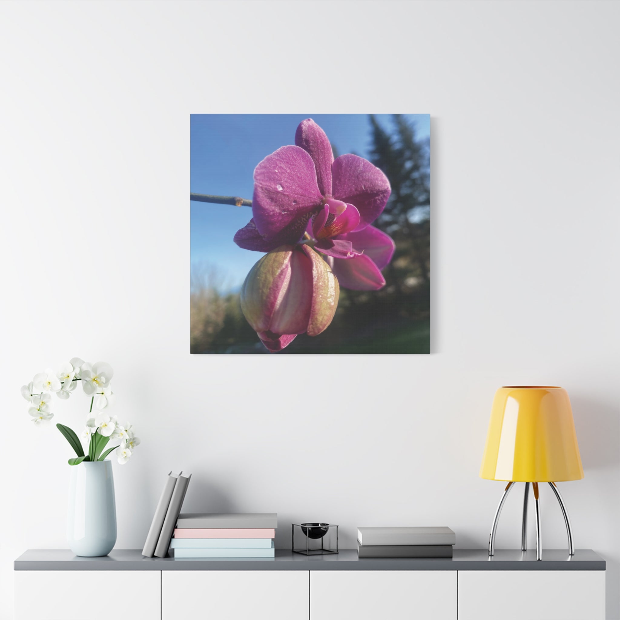 Fuchsia Orchid c Matte Canvas Wall Art — Stretched 1.25"
