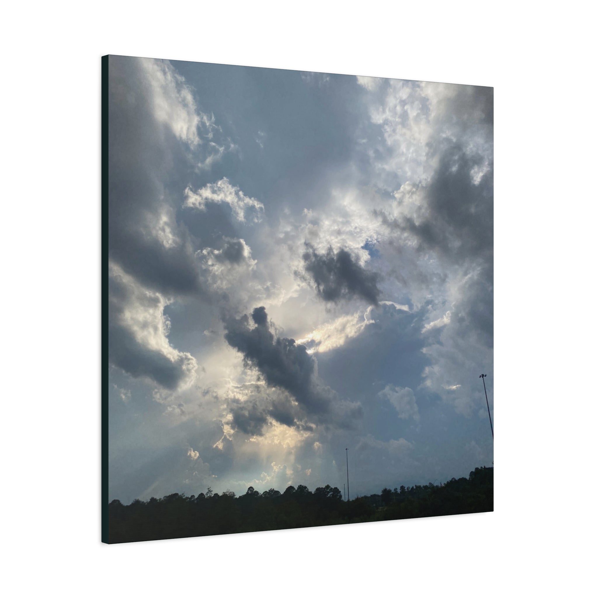 Florida Midday Photo Canvas Print — Matte Stretched Wall Art