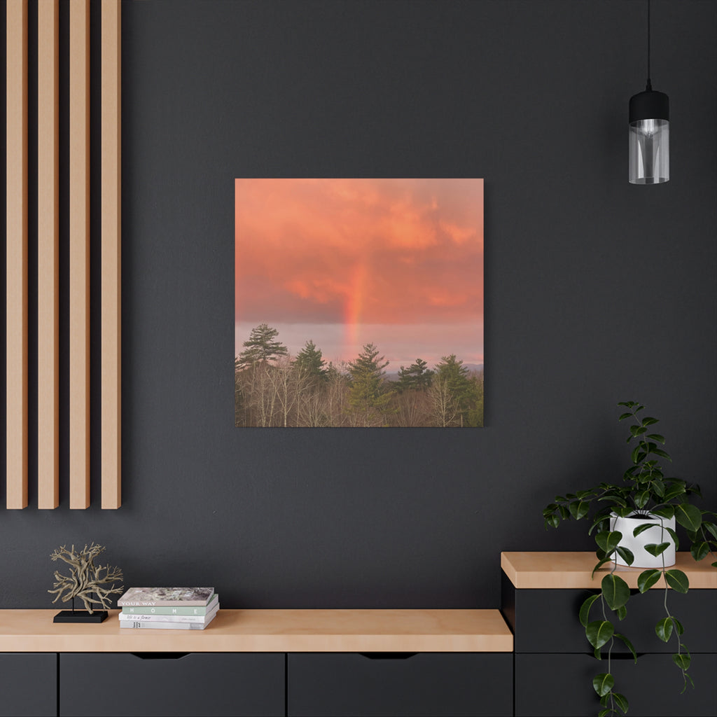 Rainbow b Canvas Print