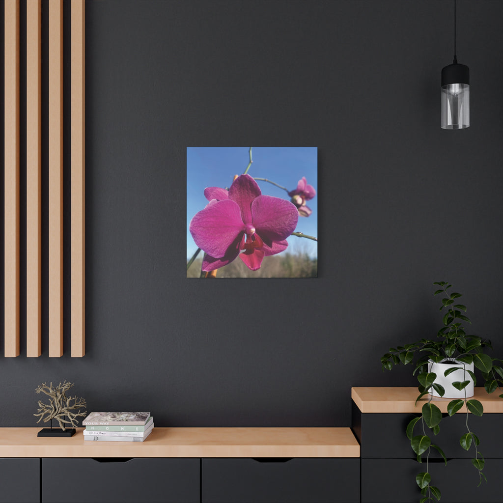 Fuchsia Orchid a Spring Photo Canvas Print — Matte Stretched 1.25"