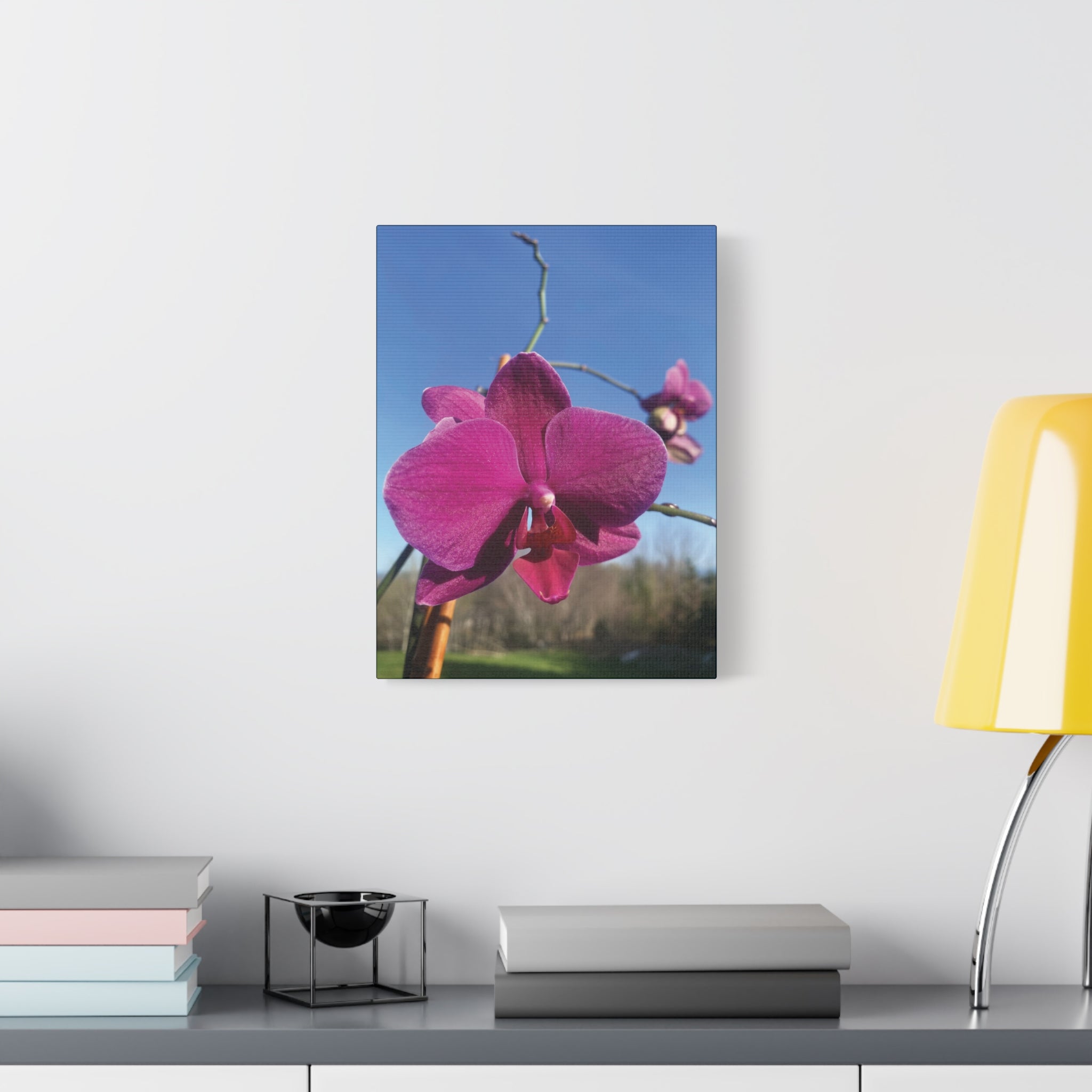Fuchsia Orchid a Spring Photo Canvas Print — Matte Stretched 1.25"
