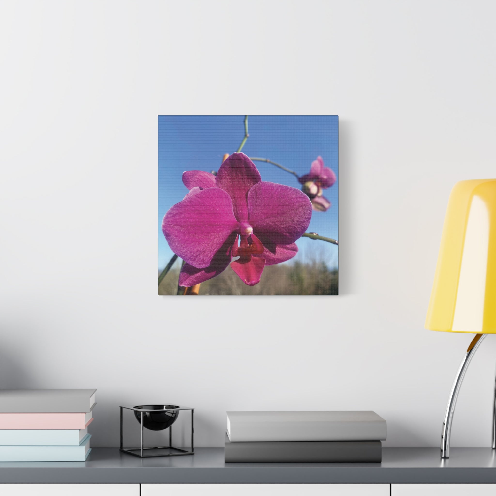 Fuchsia Orchid a Spring Photo Canvas Print — Matte Stretched 1.25"