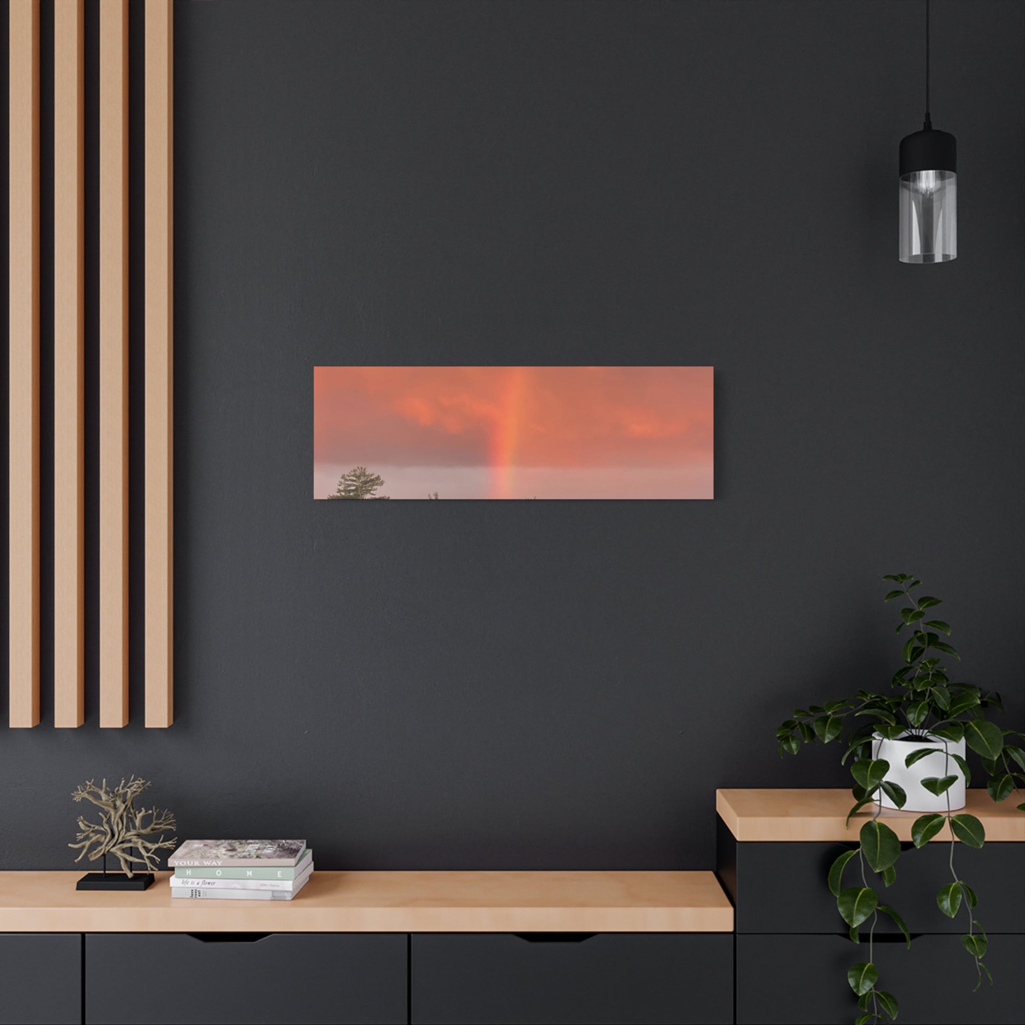 Rainbow b Canvas Print