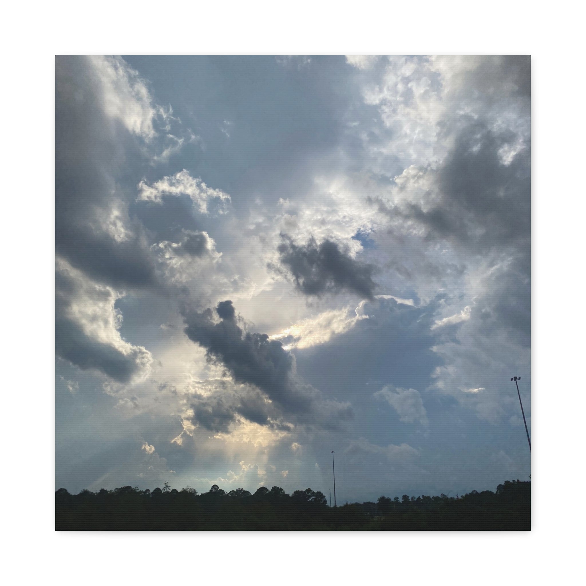 Florida Midday Photo Canvas Print — Matte Stretched Wall Art