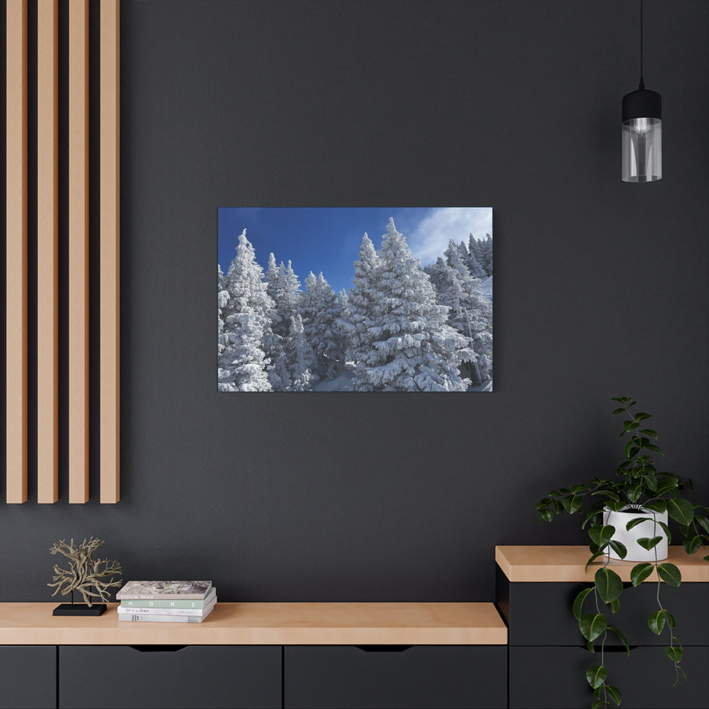 Oregon Alpine Photo Canvas Print — Matte Stretched 1.25" (March 25)