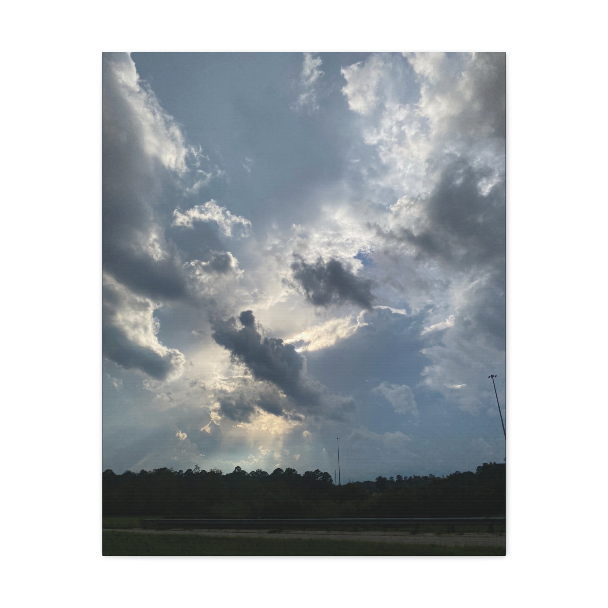 Florida Midday Photo Canvas Print — Matte Stretched Wall Art