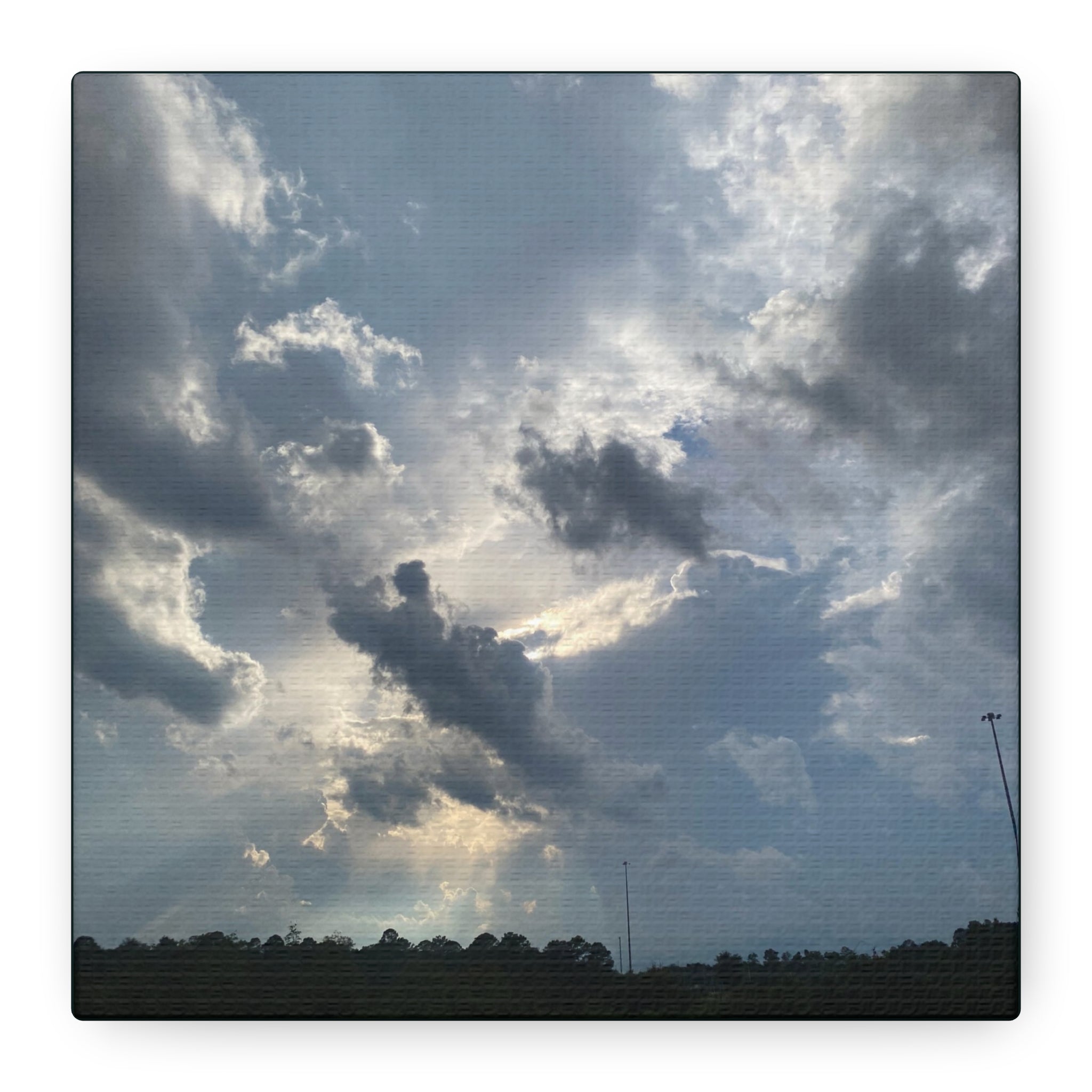 Florida Midday Photo Canvas Print — Matte Stretched Wall Art