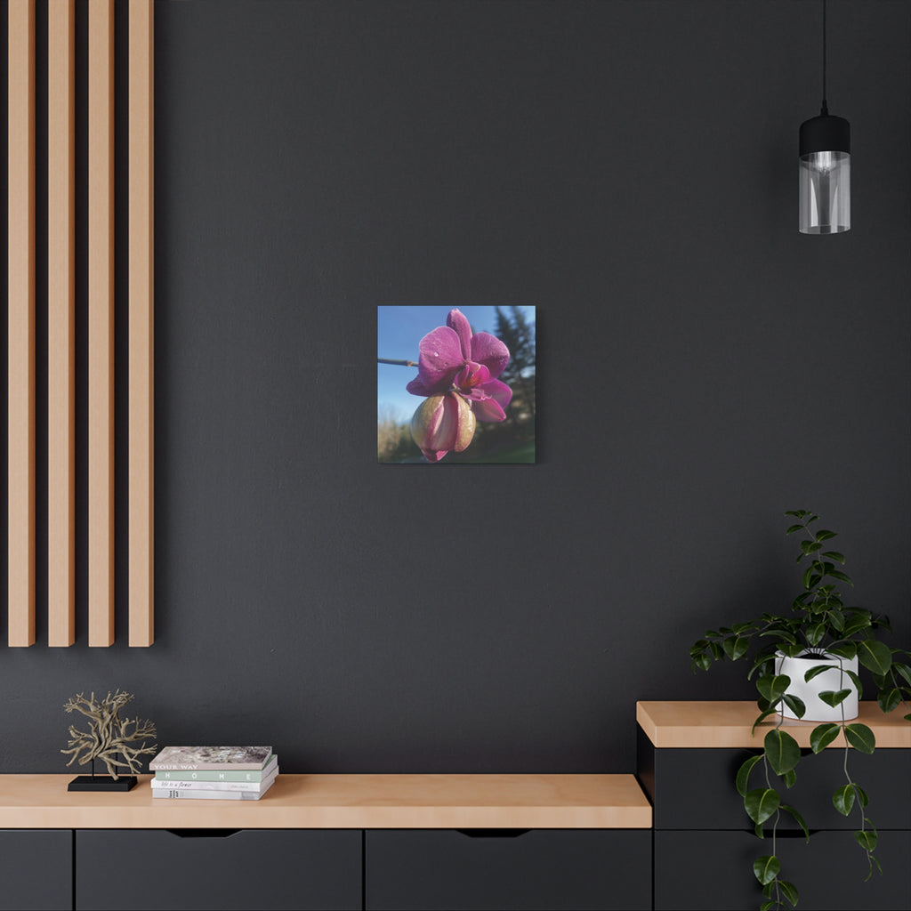 Fuchsia Orchid c Matte Canvas Wall Art — Stretched 1.25"