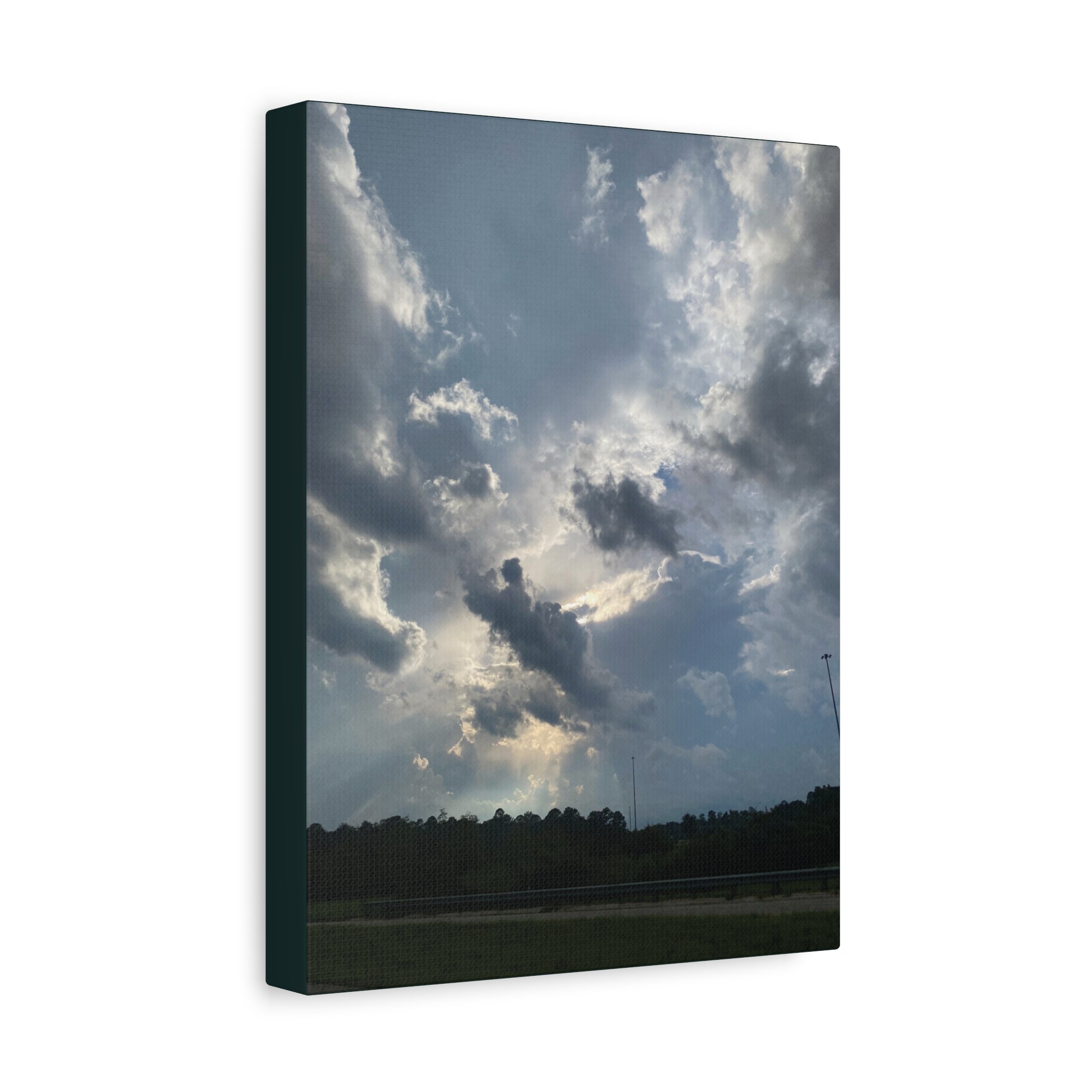 Florida Midday Photo Canvas Print — Matte Stretched Wall Art