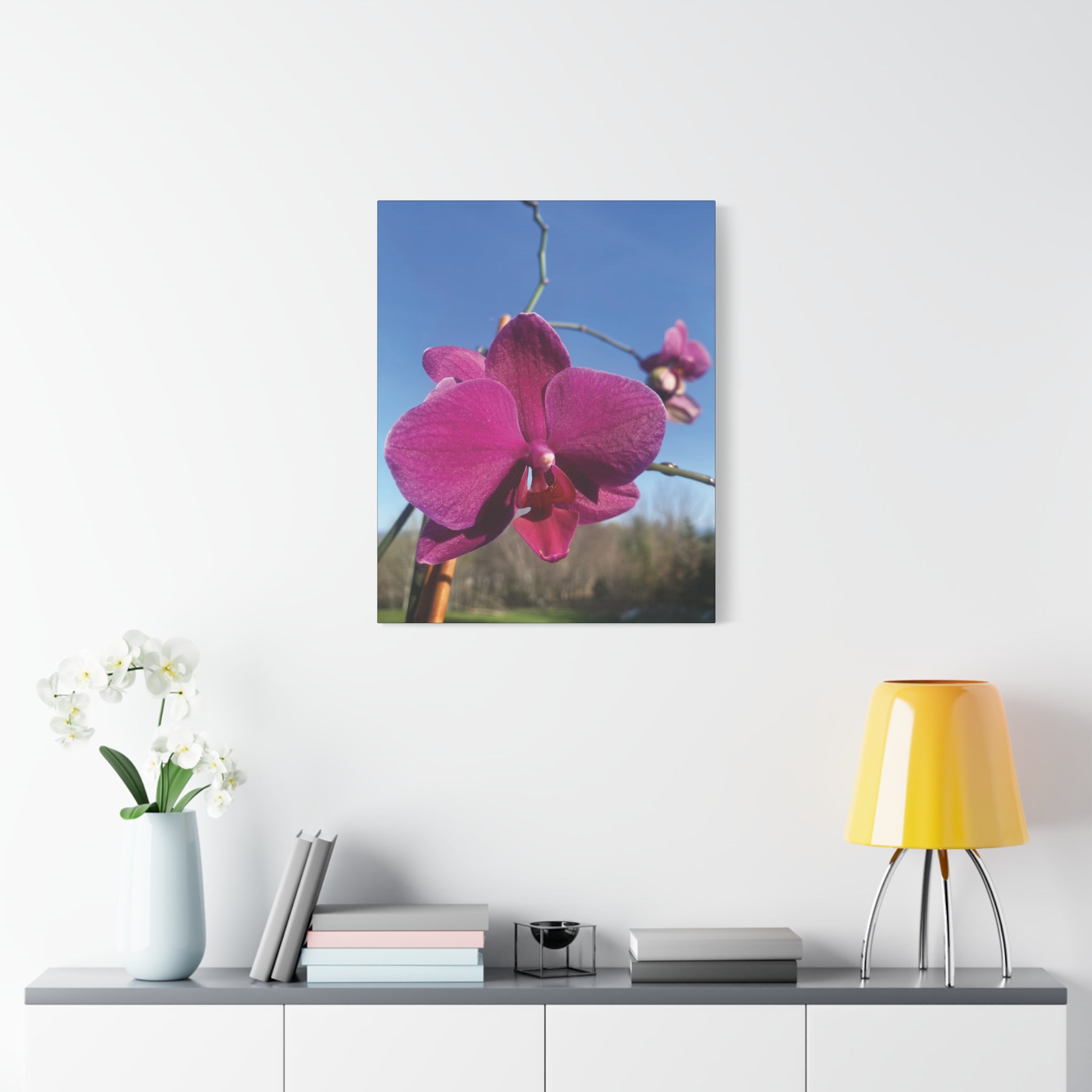 Fuchsia Orchid a Spring Photo Canvas Print — Matte Stretched 1.25"