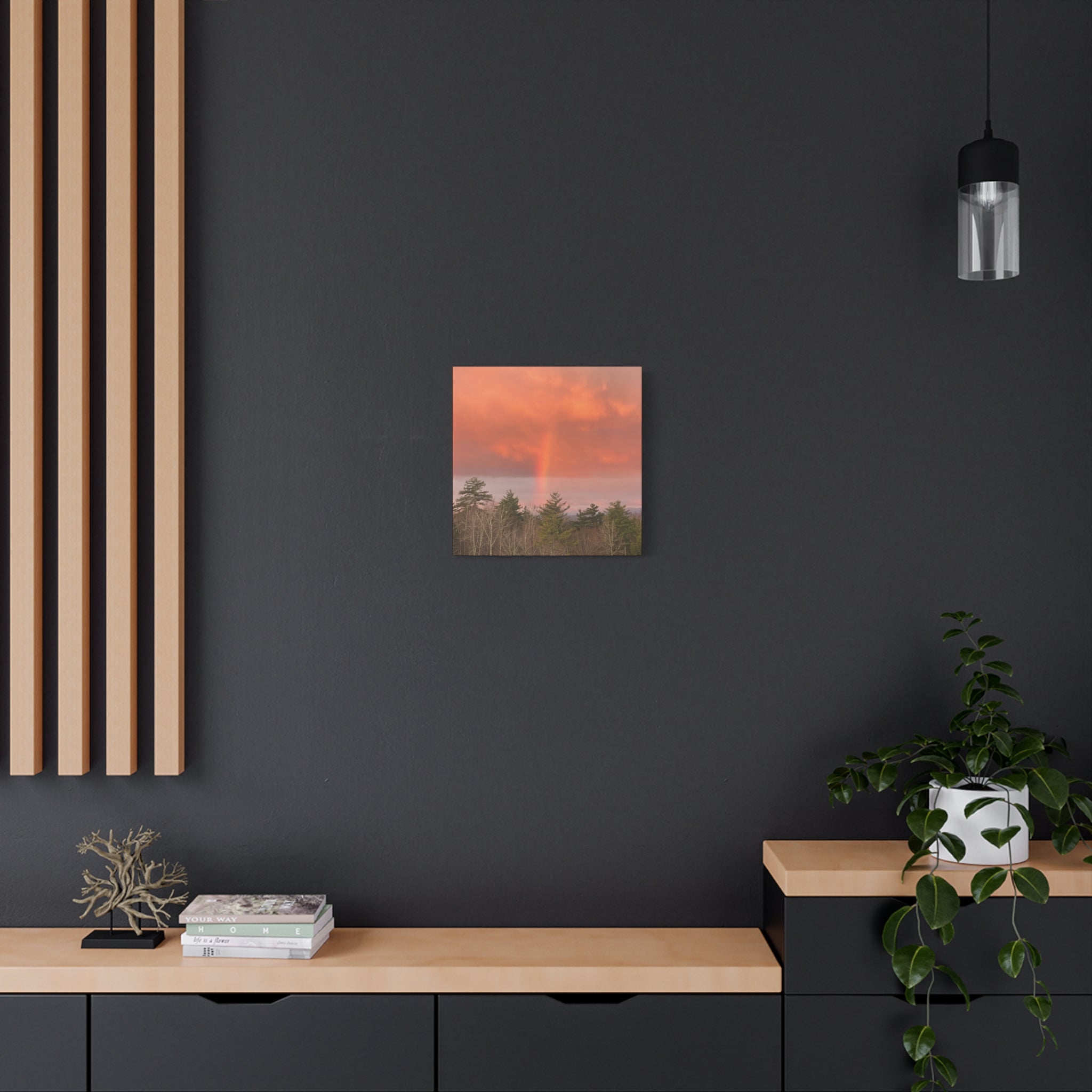 Rainbow b Canvas Print