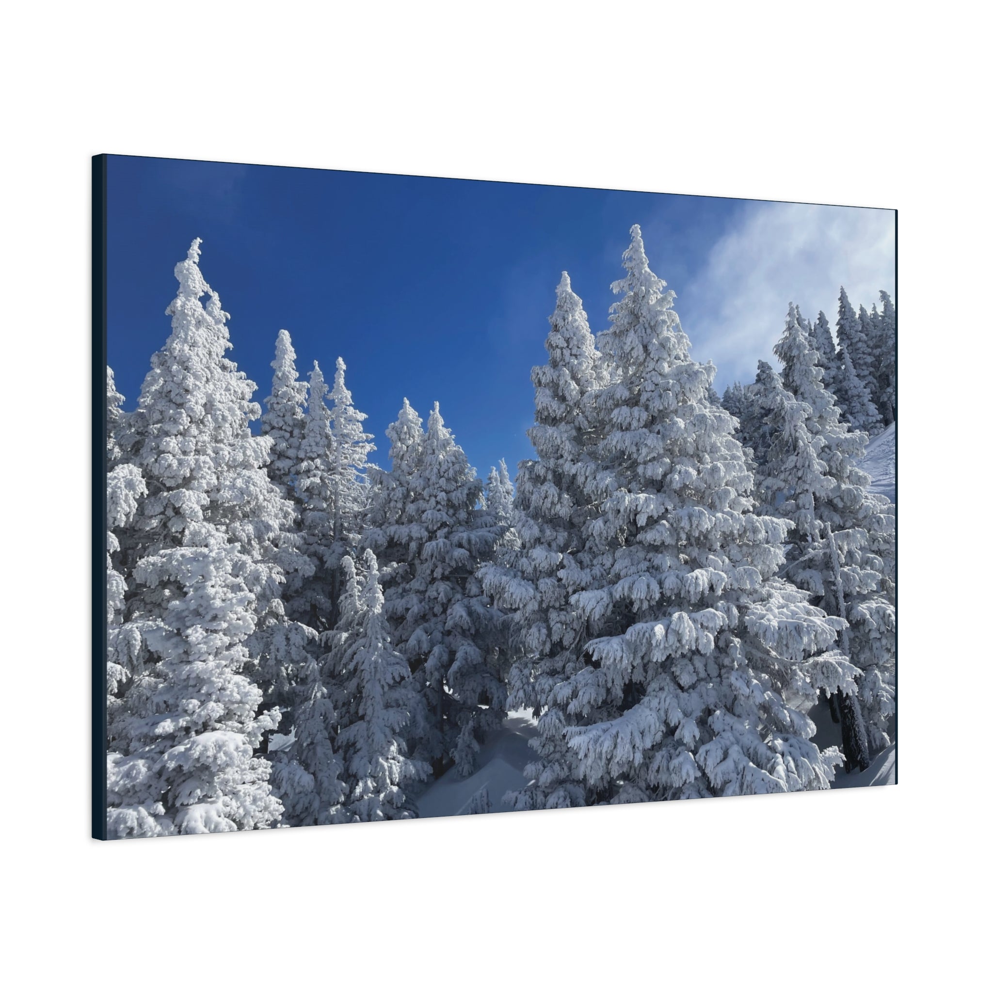 Oregon Alpine Photo Canvas Print — Matte Stretched 1.25" (March 25)
