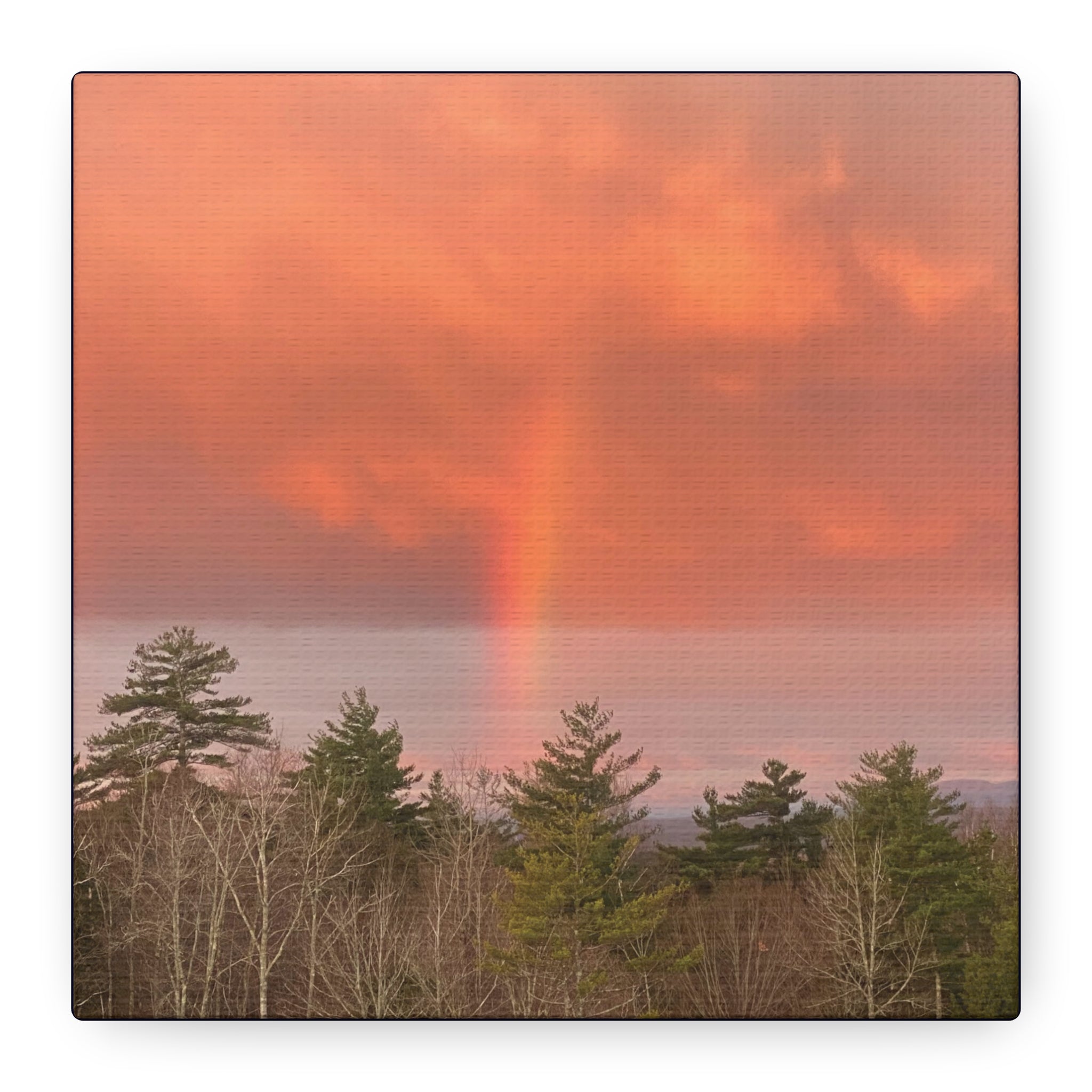 Rainbow b Canvas Print