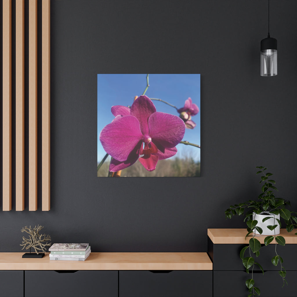 Fuchsia Orchid a Spring Photo Canvas Print — Matte Stretched 1.25"