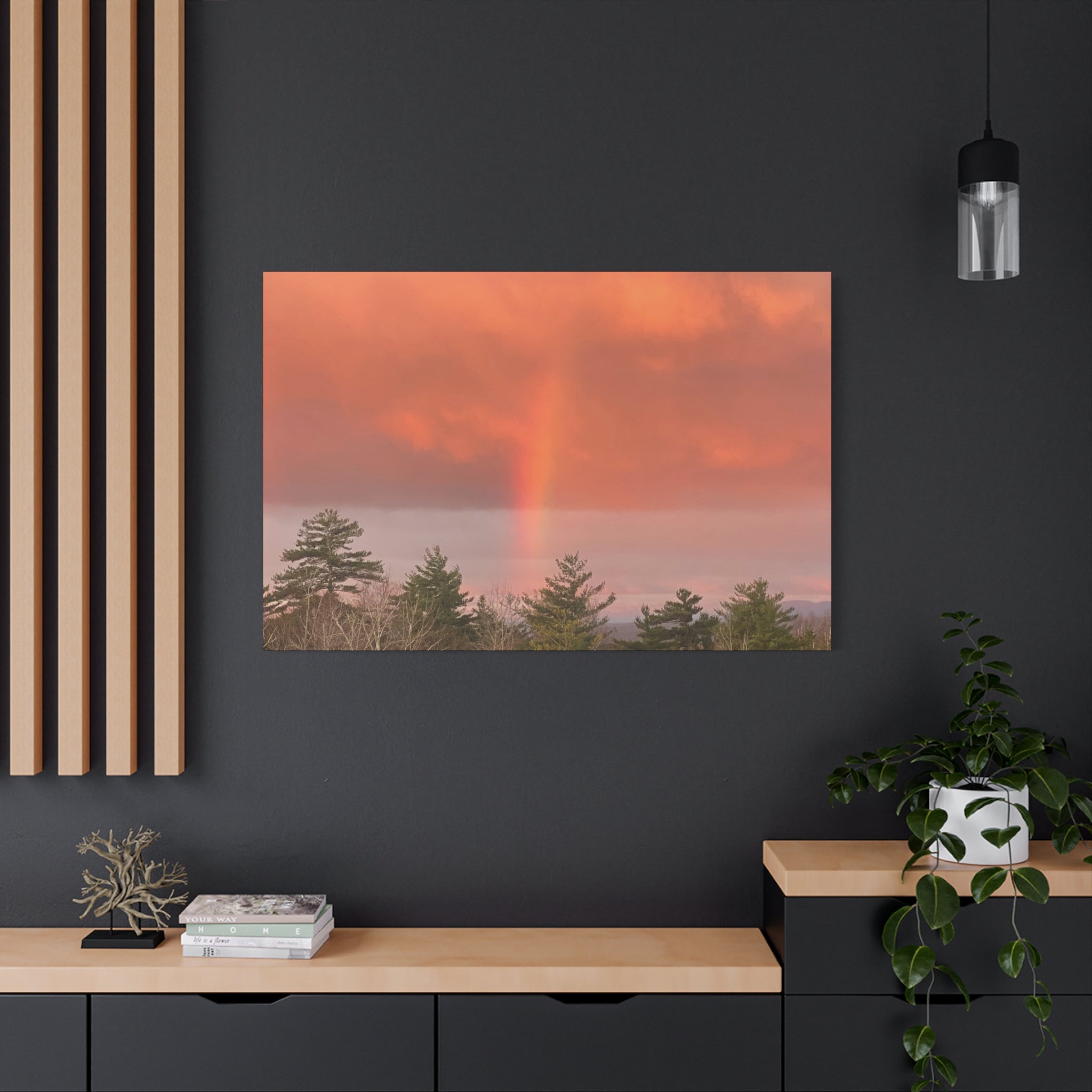 Rainbow b Canvas Print
