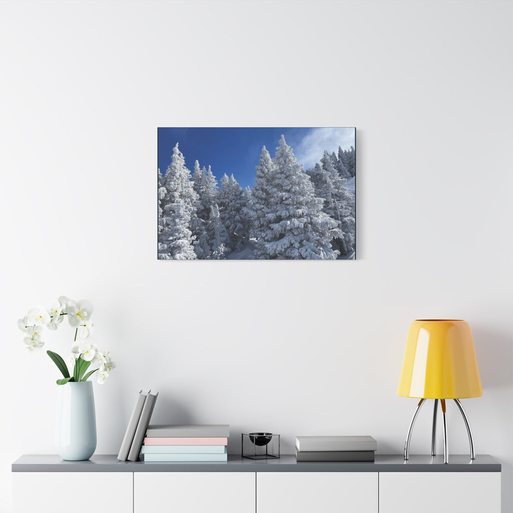Oregon Alpine Photo Canvas Print — Matte Stretched 1.25" (March 25)