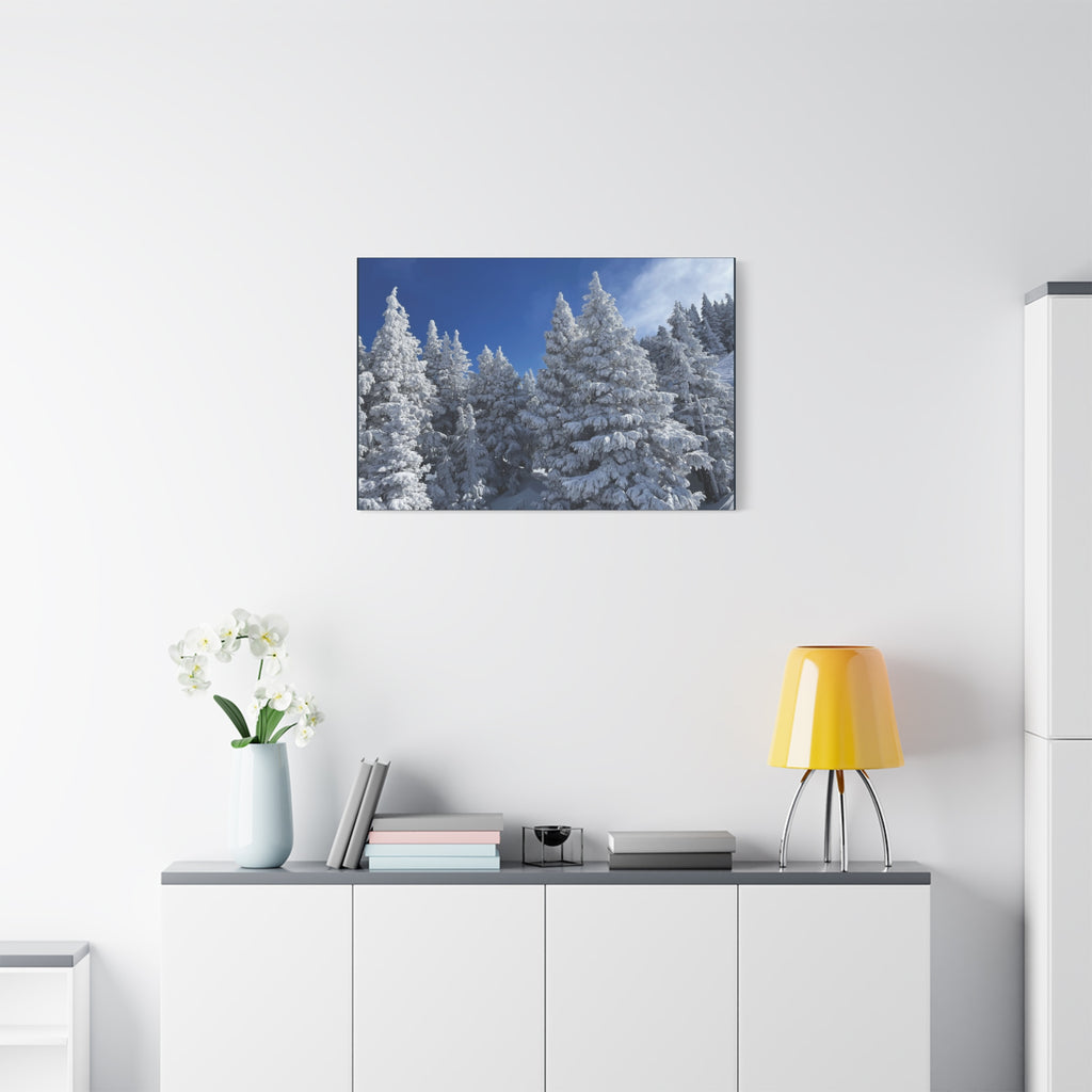 Oregon Alpine Photo Canvas Print — Matte Stretched 1.25" (March 25)
