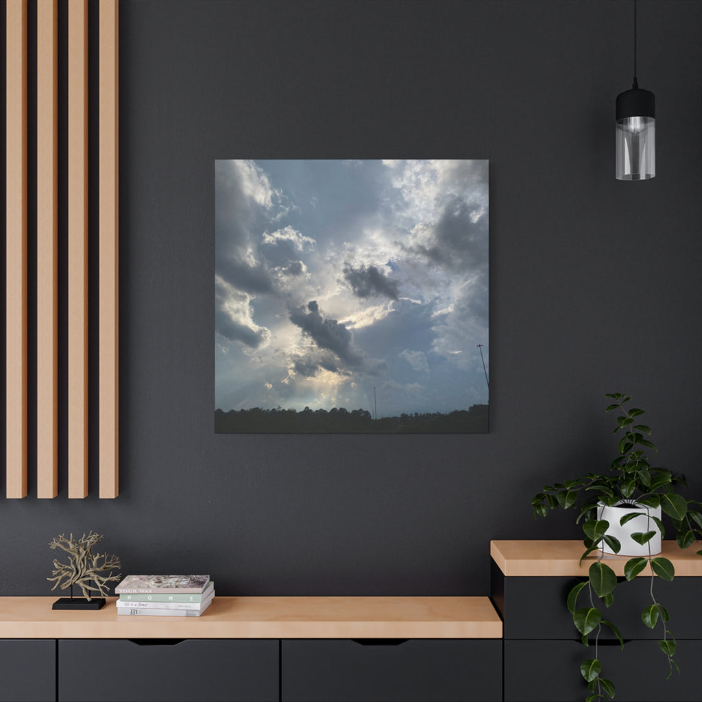 Florida Midday Photo Canvas Print — Matte Stretched Wall Art