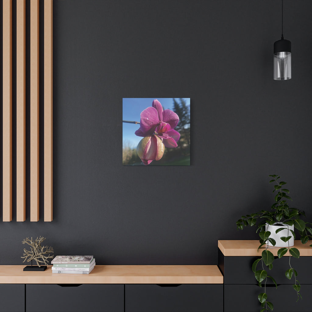 Fuchsia Orchid c Matte Canvas Wall Art — Stretched 1.25"