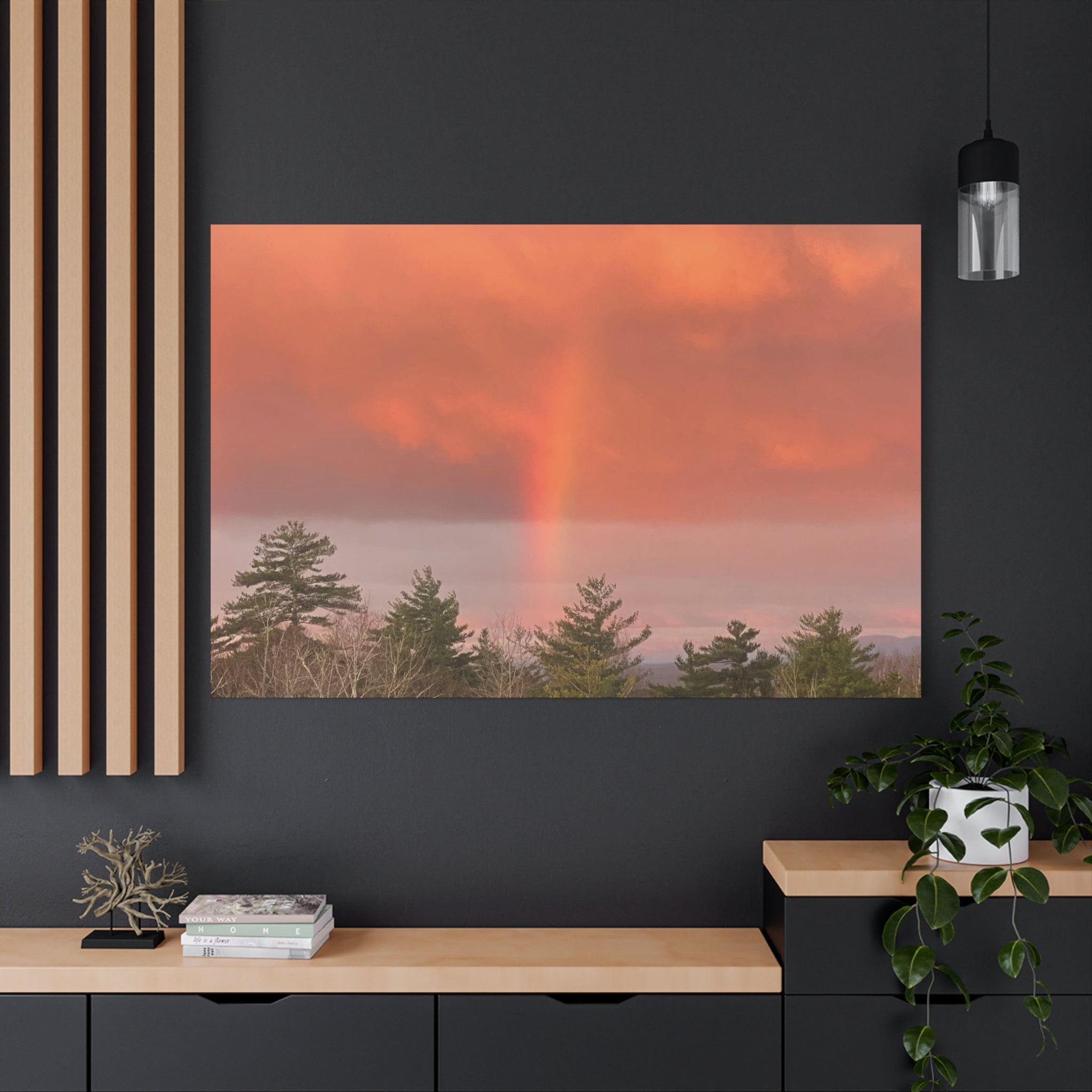 Rainbow b Canvas Print