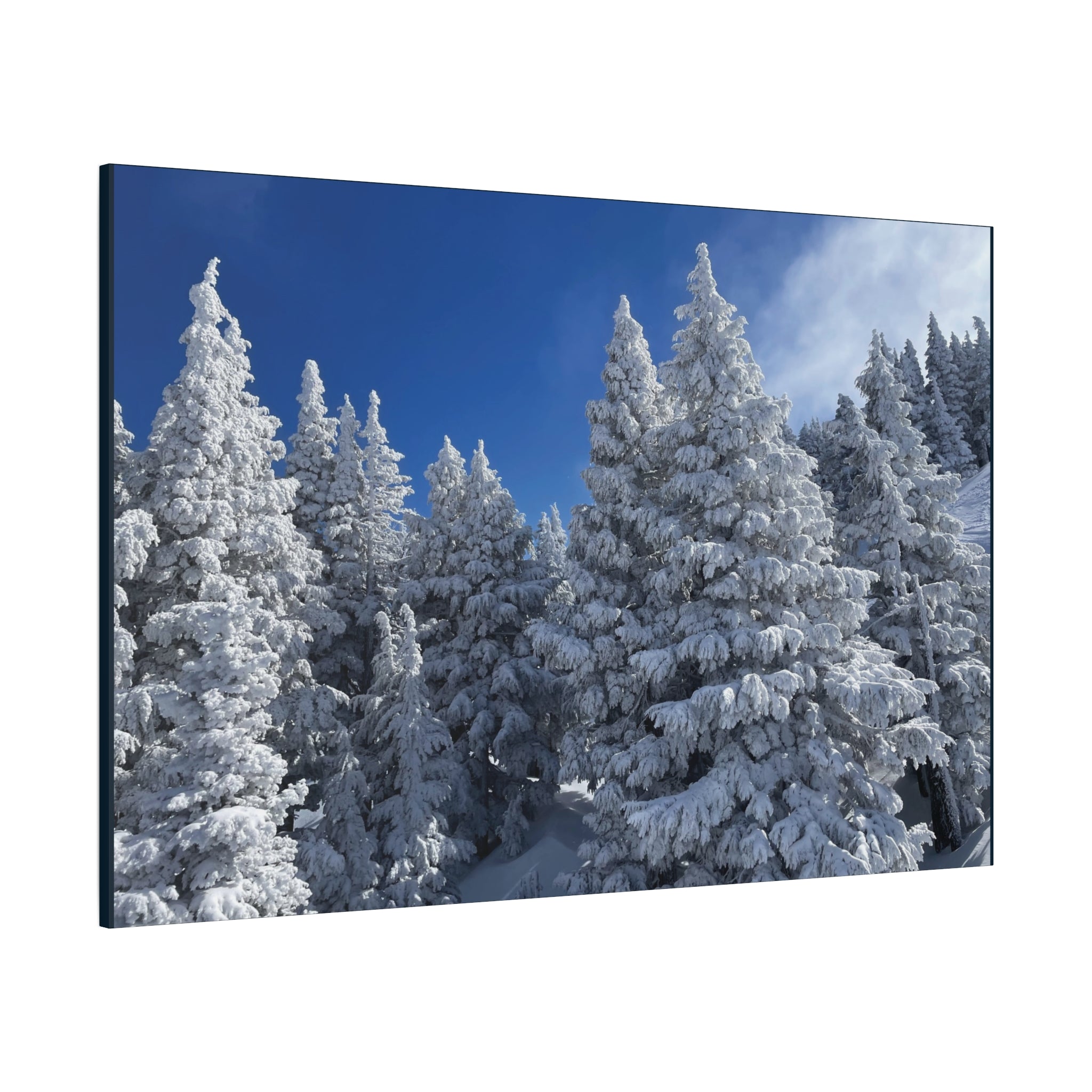 Oregon Alpine Photo Canvas Print — Matte Stretched 1.25" (March 25)
