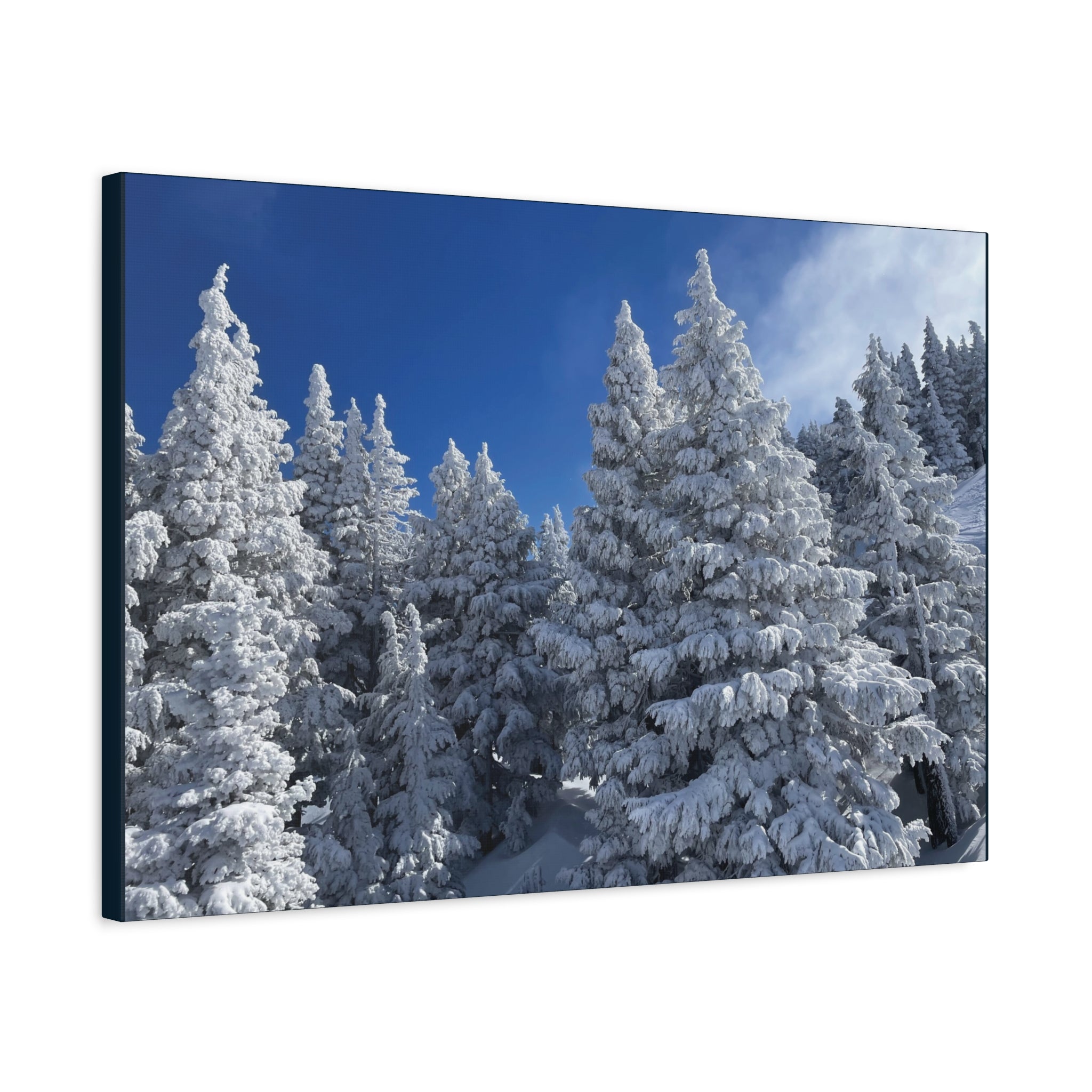 Oregon Alpine Photo Canvas Print — Matte Stretched 1.25" (March 25)