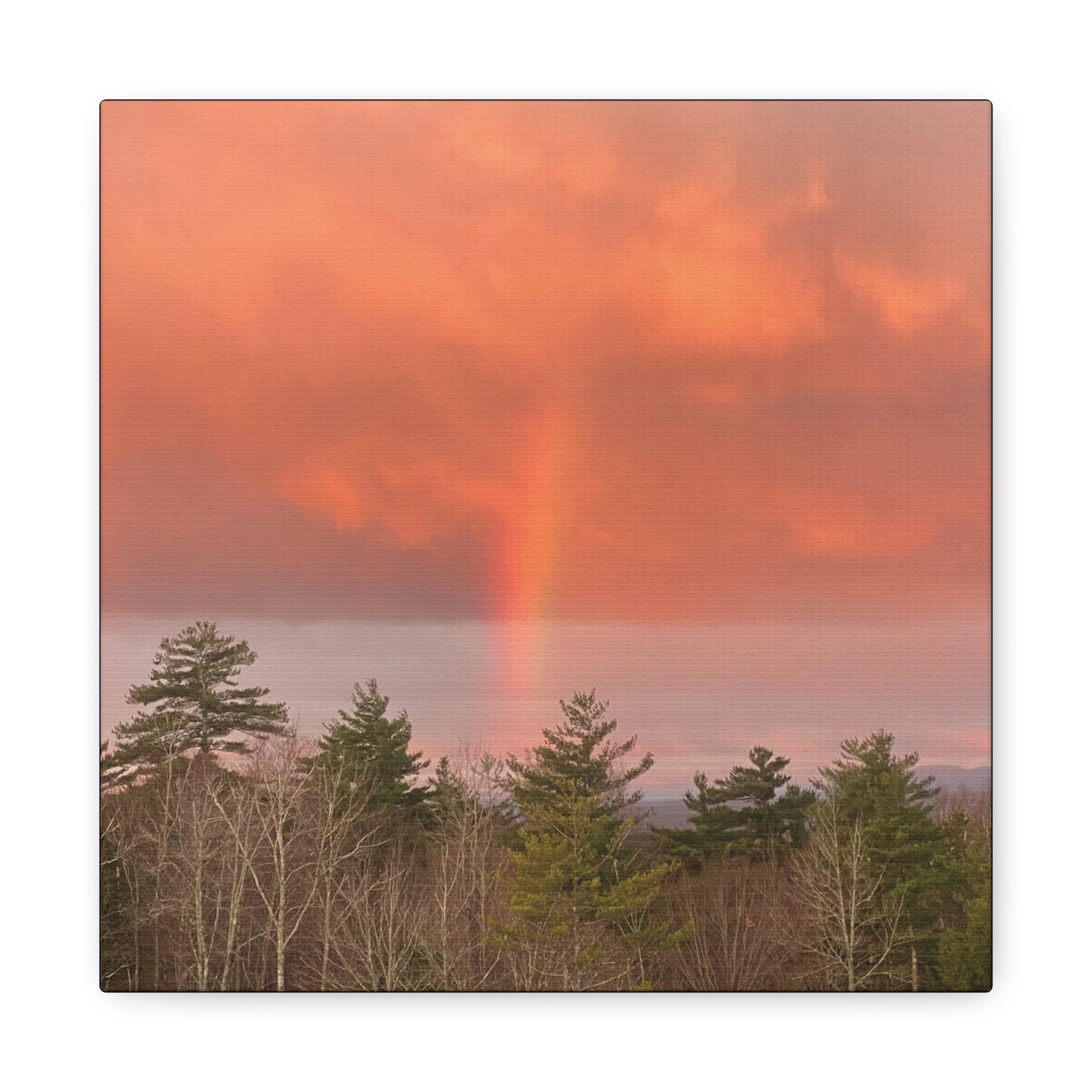 Rainbow b Canvas Print