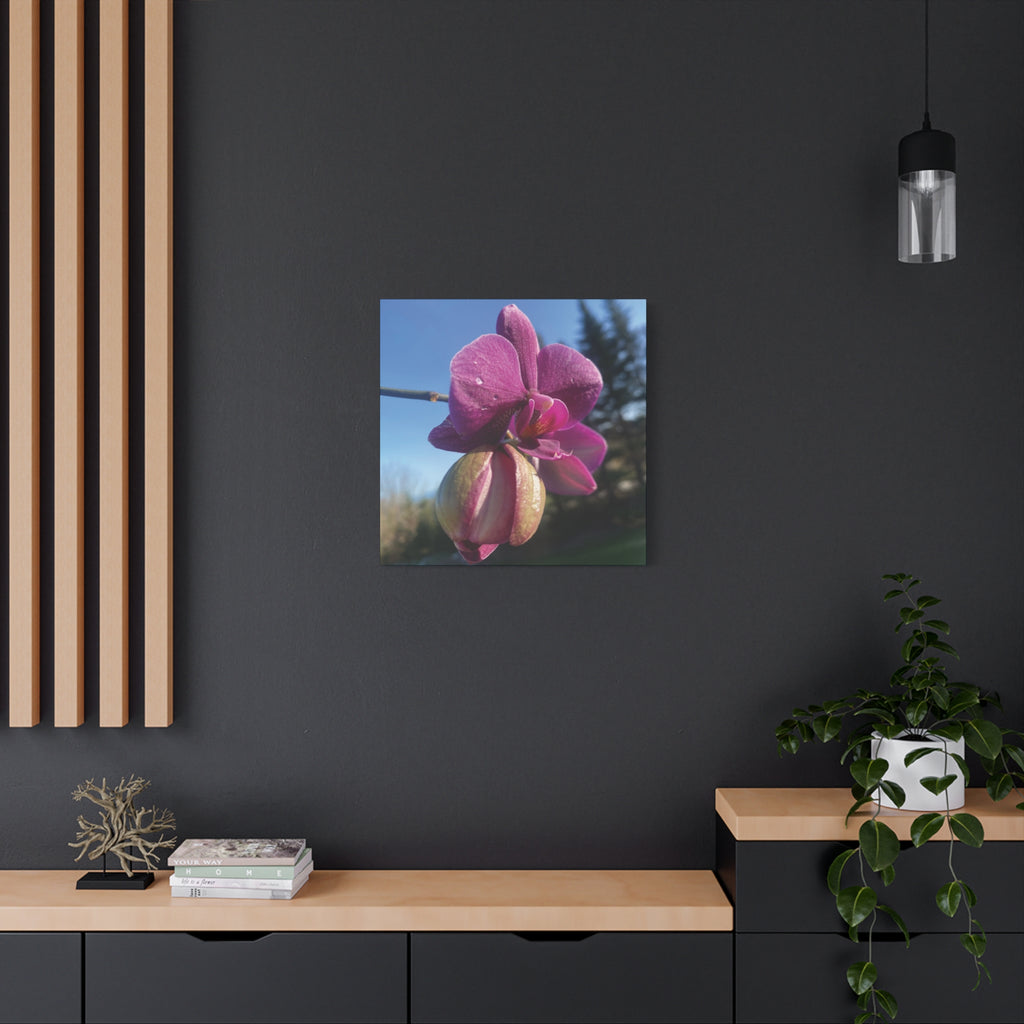 Fuchsia Orchid c Matte Canvas Wall Art — Stretched 1.25"