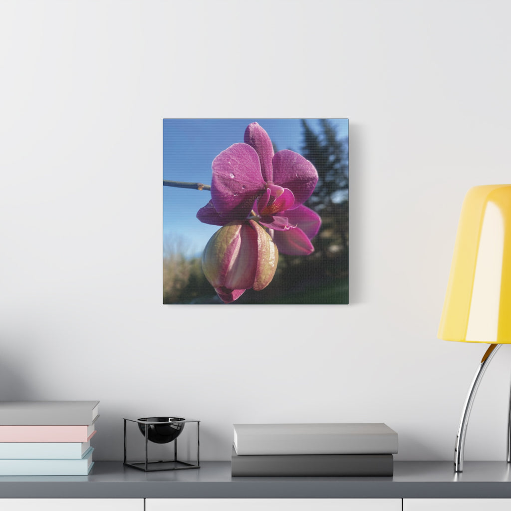 Fuchsia Orchid c Matte Canvas Wall Art — Stretched 1.25"