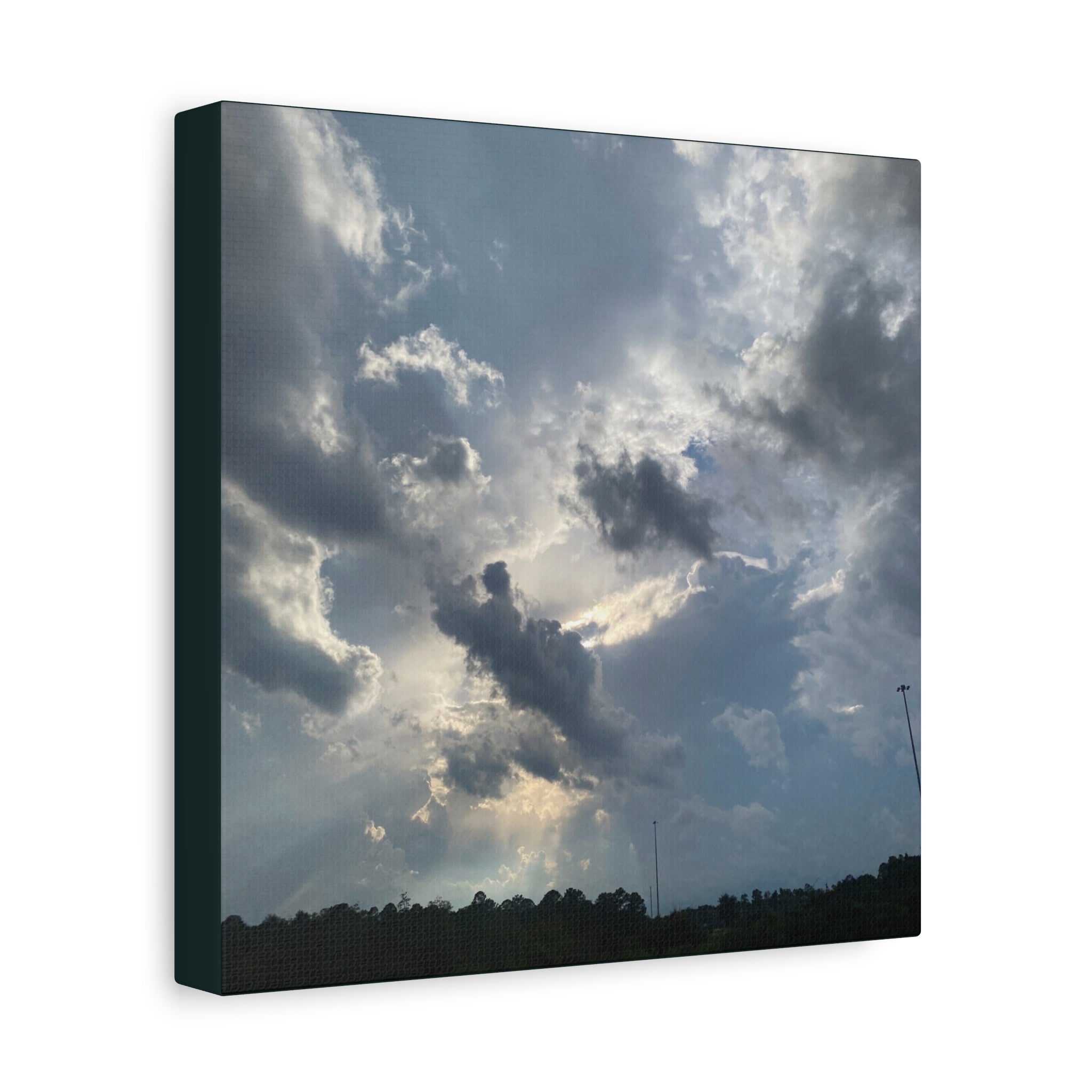 Florida Midday Photo Canvas Print — Matte Stretched Wall Art