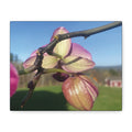 Fuchsia Orchid d Matte Canvas Wall Art — Stretched 1.25"
