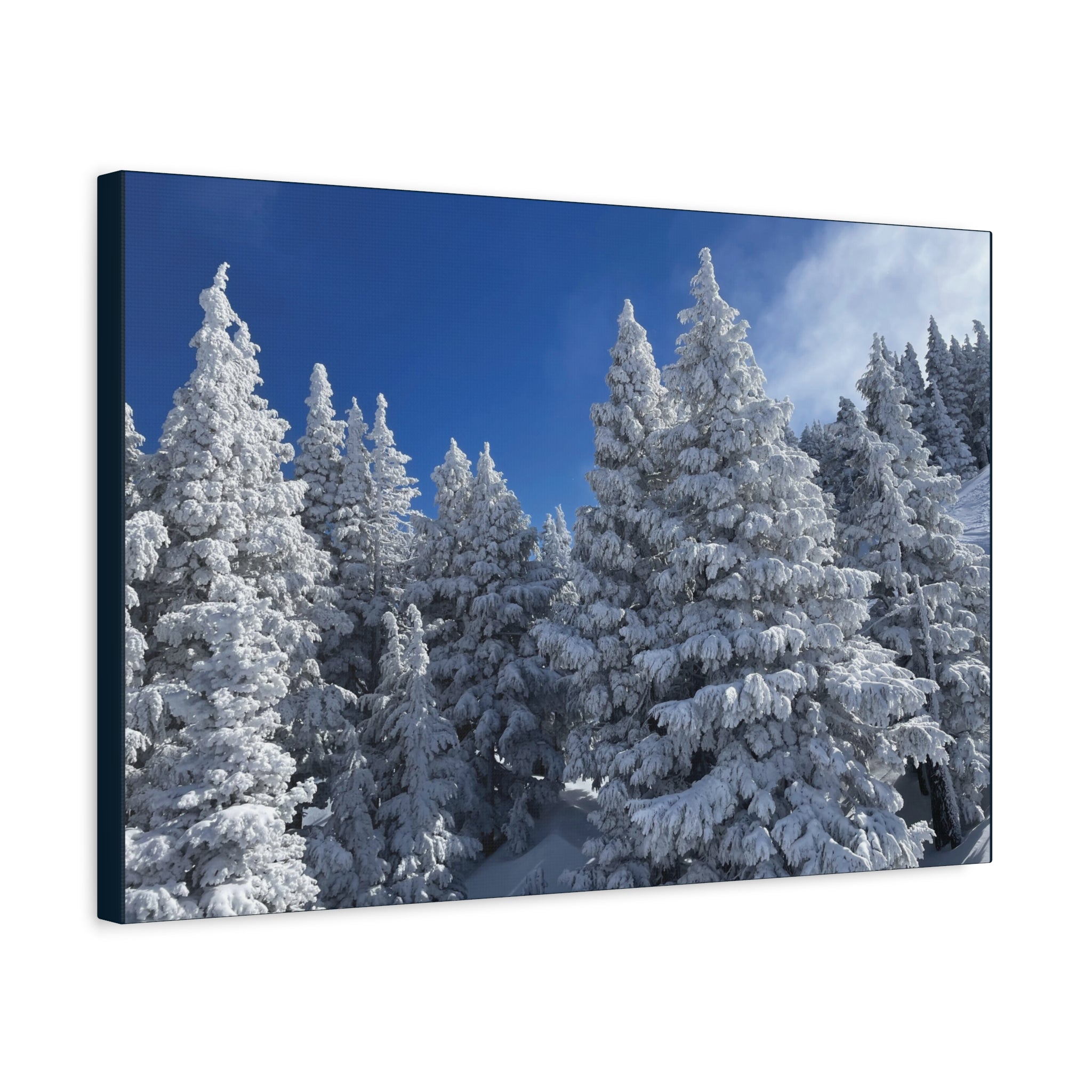 Oregon Alpine Photo Canvas Print — Matte Stretched 1.25" (March 25)