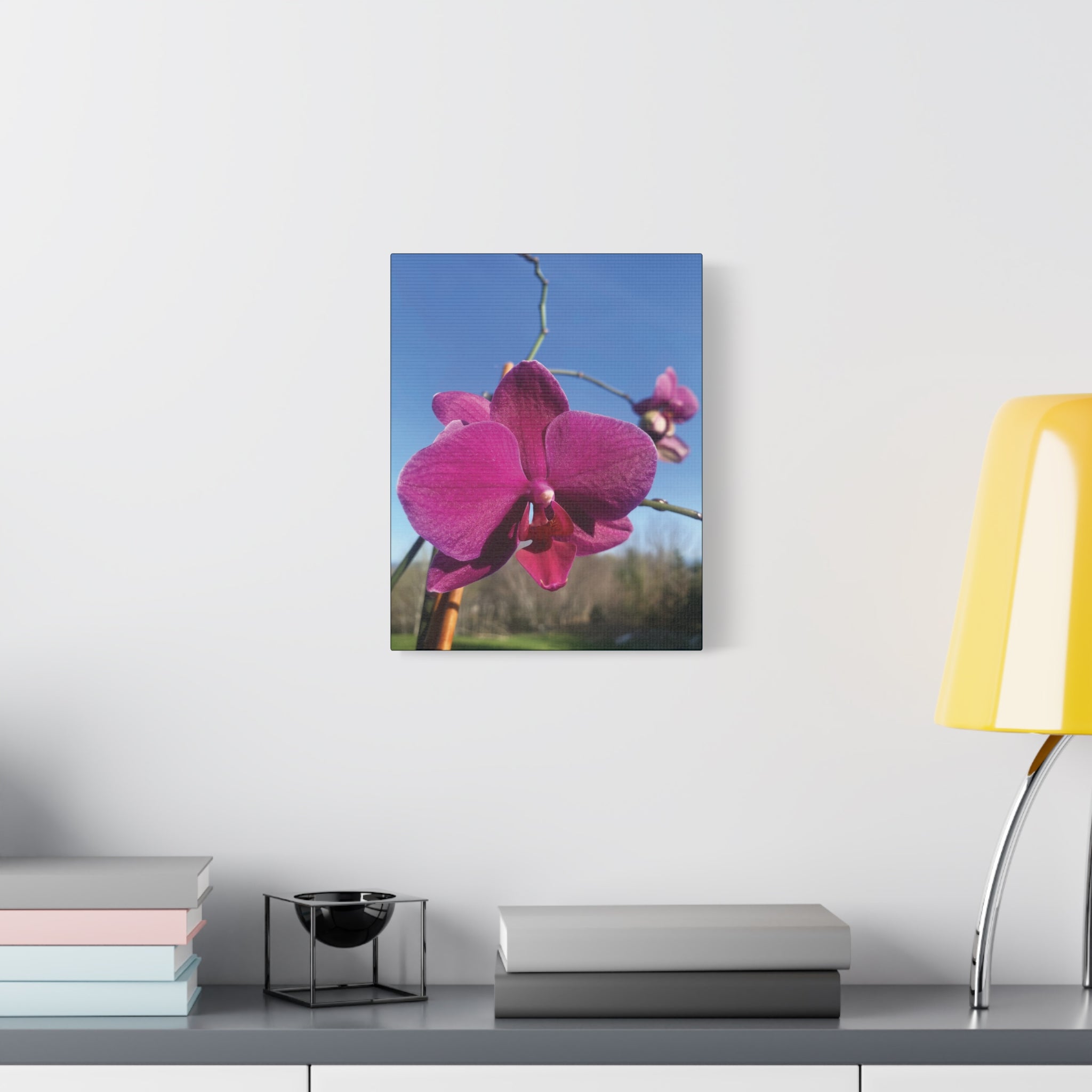 Fuchsia Orchid a Spring Photo Canvas Print — Matte Stretched 1.25"
