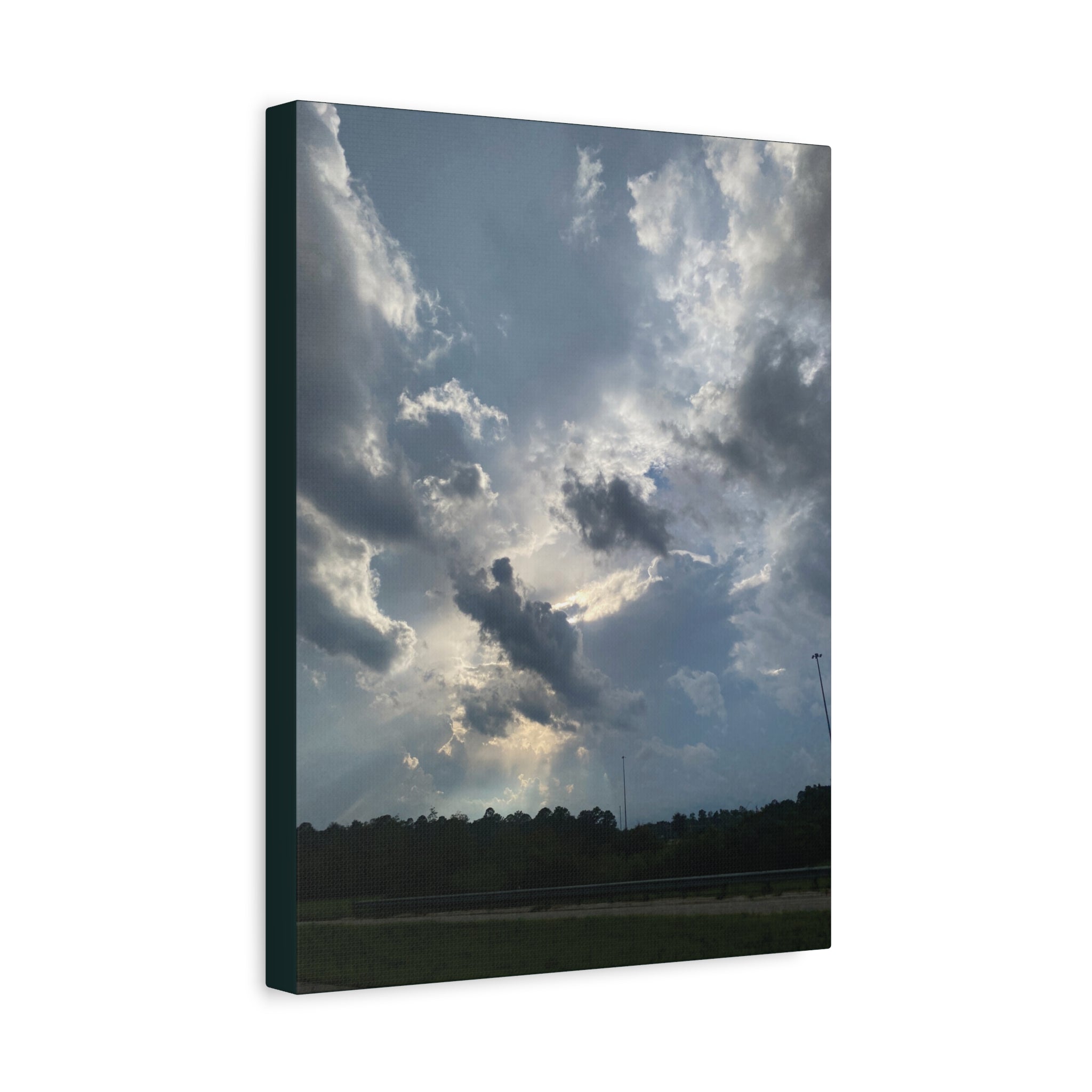 Florida Midday Photo Canvas Print — Matte Stretched Wall Art
