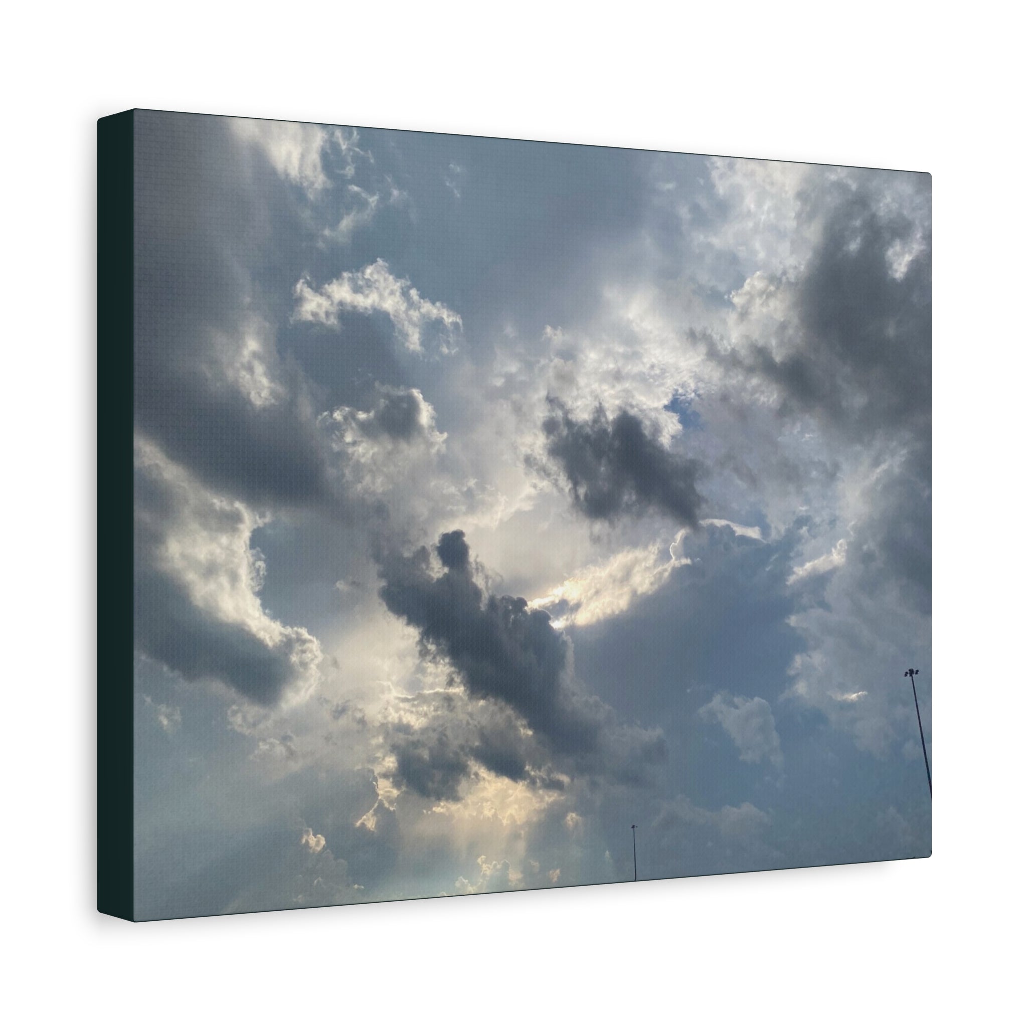 Florida Midday Photo Canvas Print — Matte Stretched Wall Art