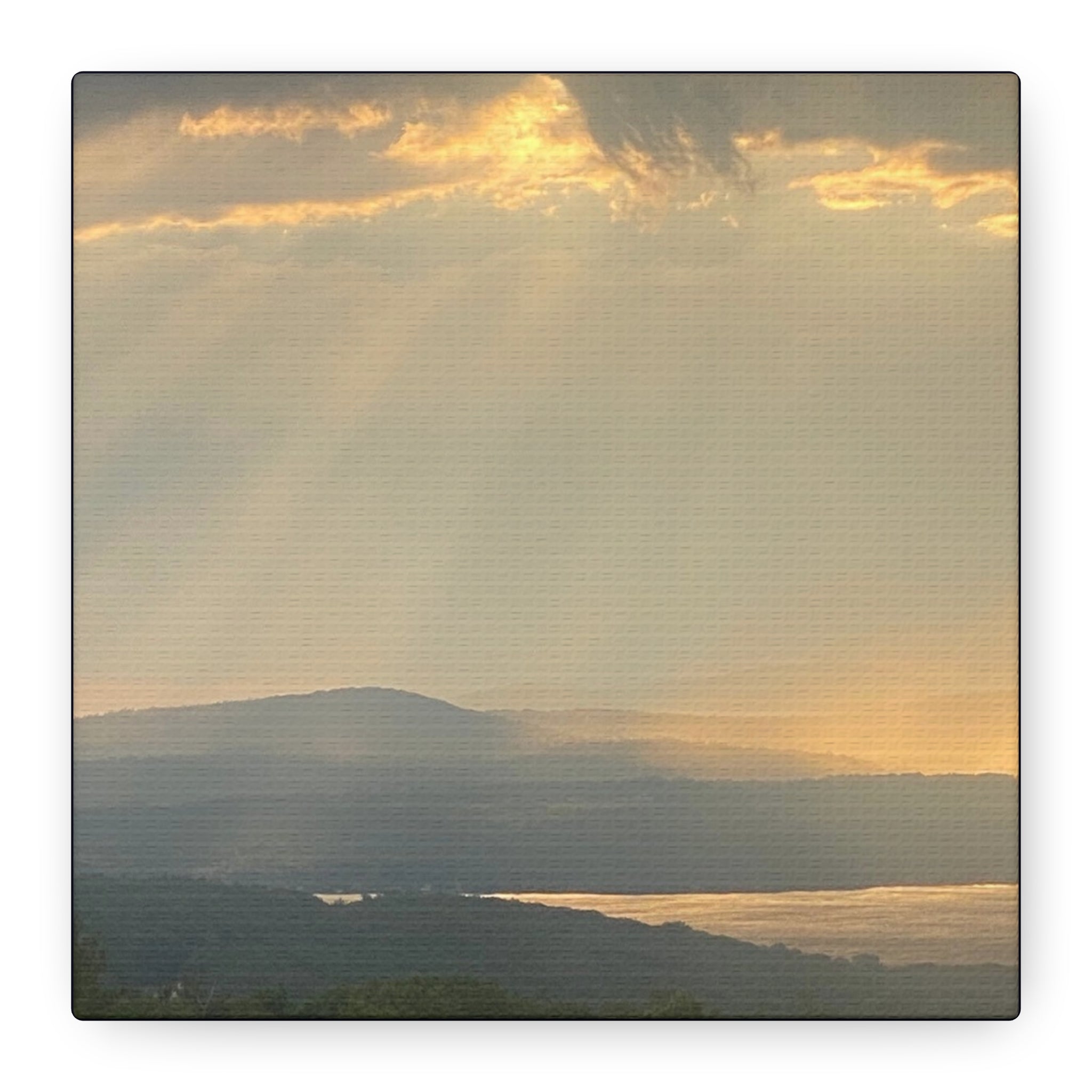 Pale Gold Mist Photo- Matte Stretched Landscape Print