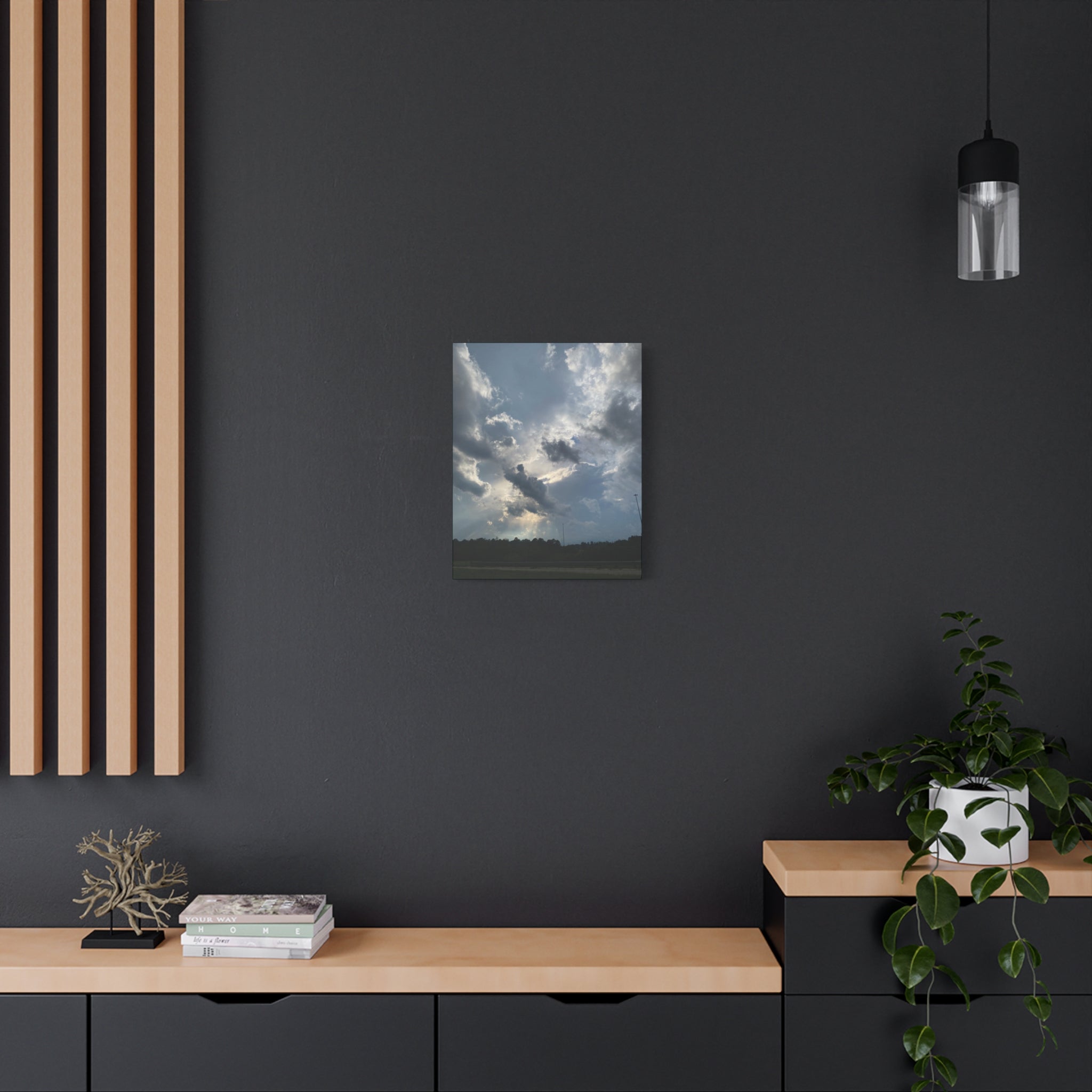 Florida Midday Photo Canvas Print — Matte Stretched Wall Art