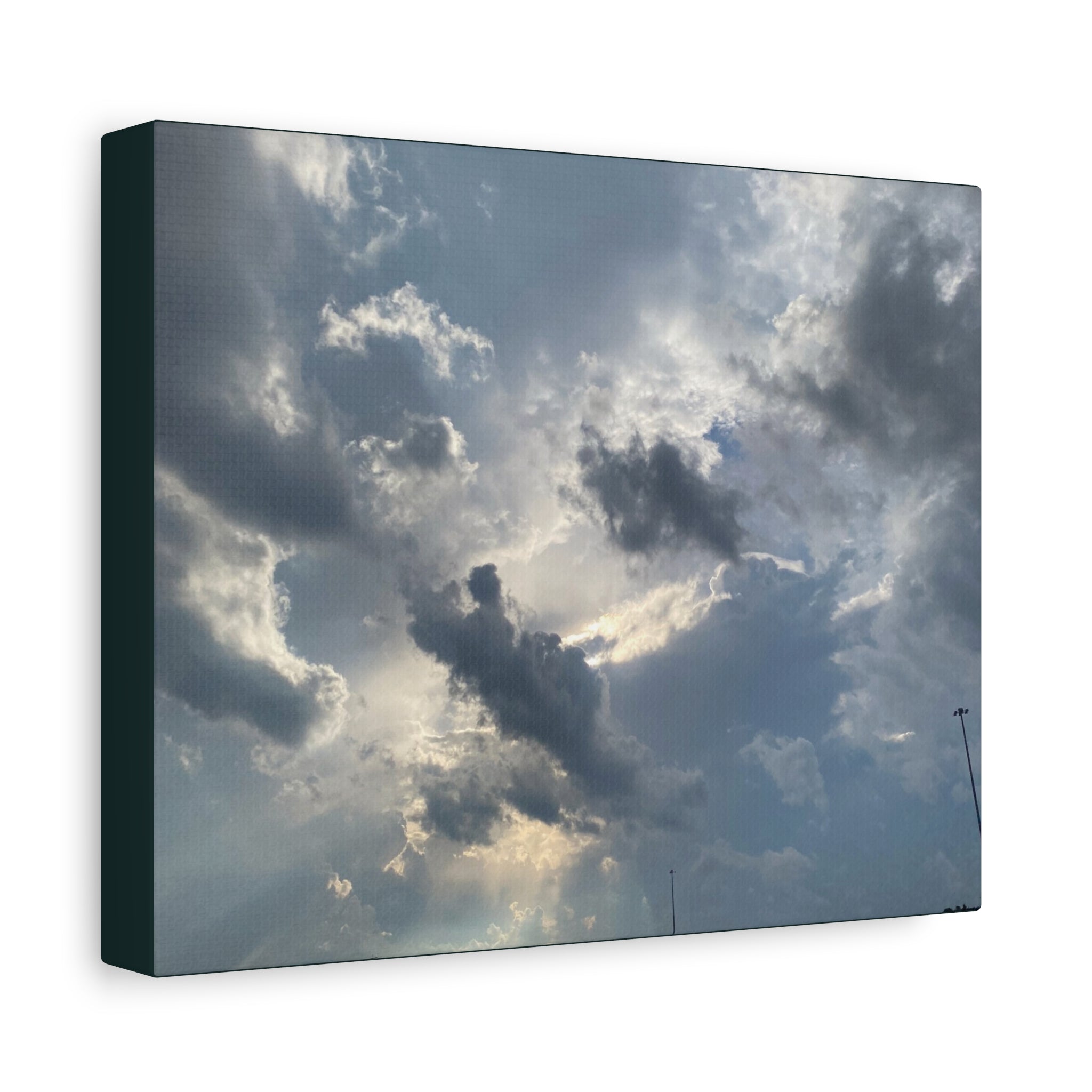 Florida Midday Photo Canvas Print — Matte Stretched Wall Art