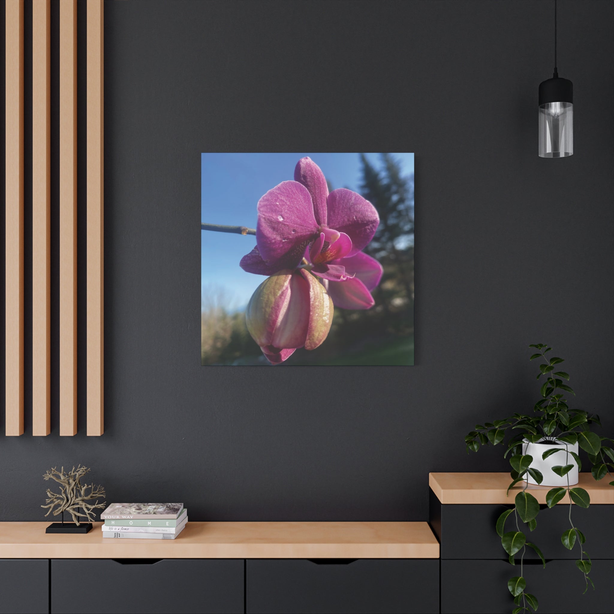 Fuchsia Orchid c Matte Canvas Wall Art — Stretched 1.25"