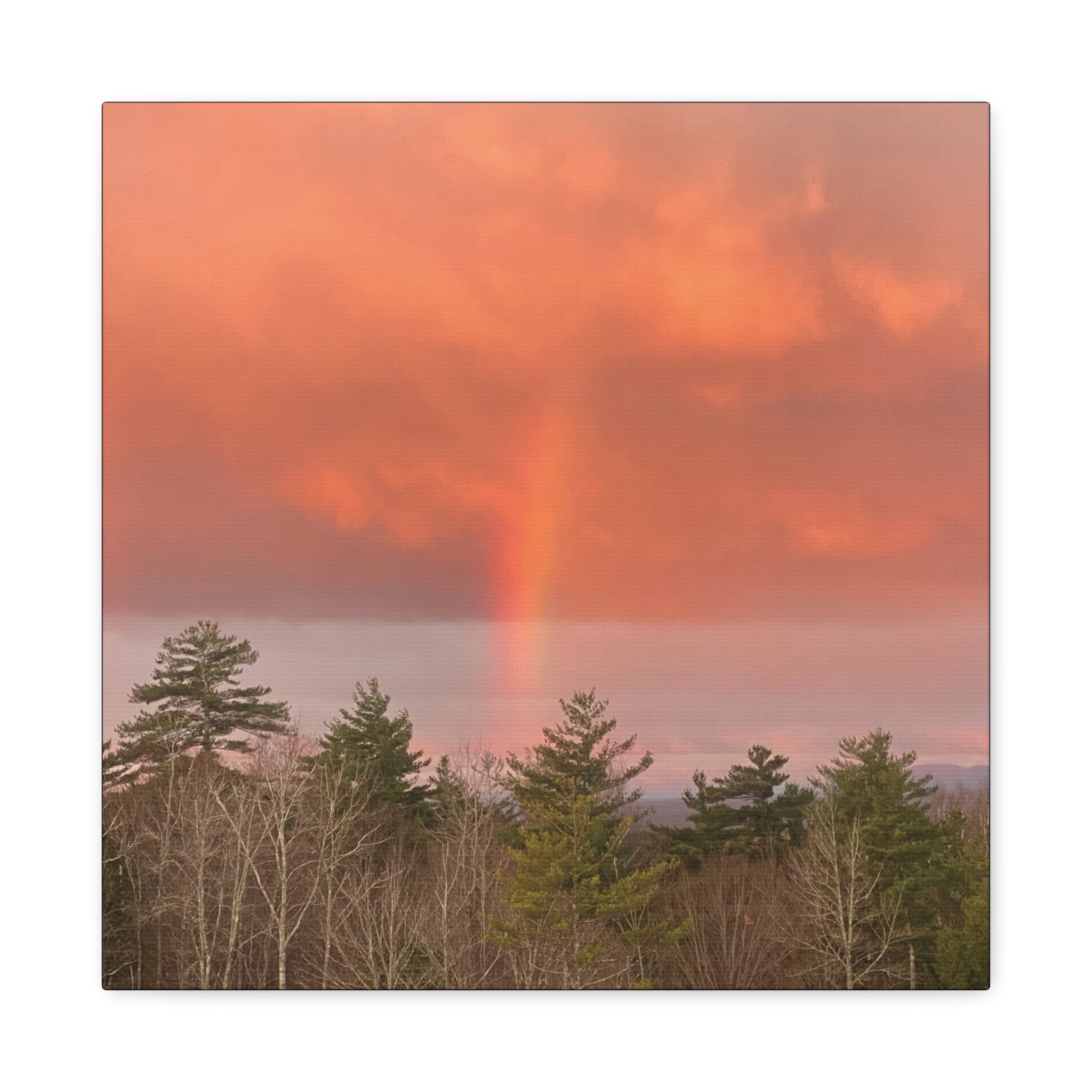 Rainbow b Canvas Print