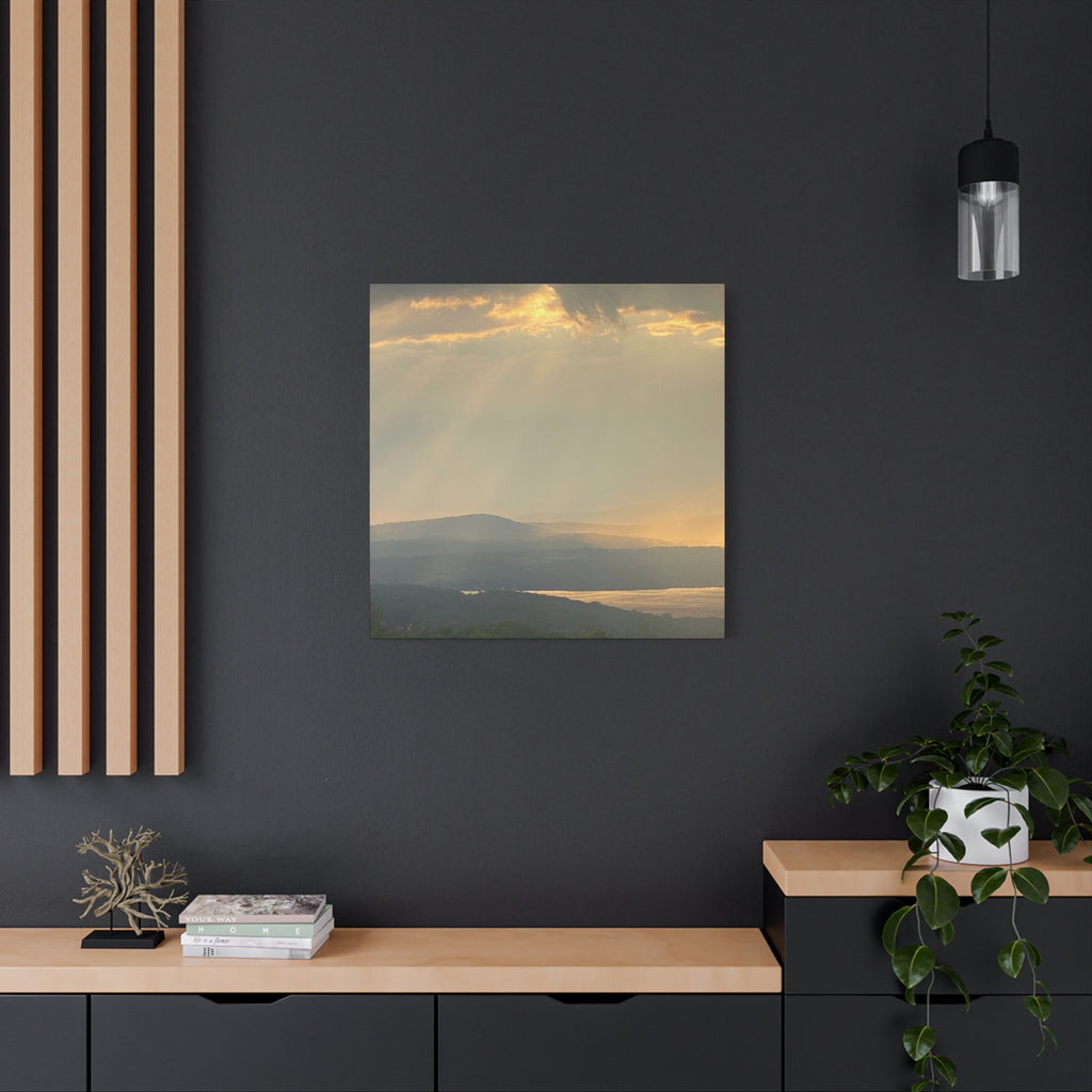 Pale Gold Mist Photo- Matte Stretched Landscape Print