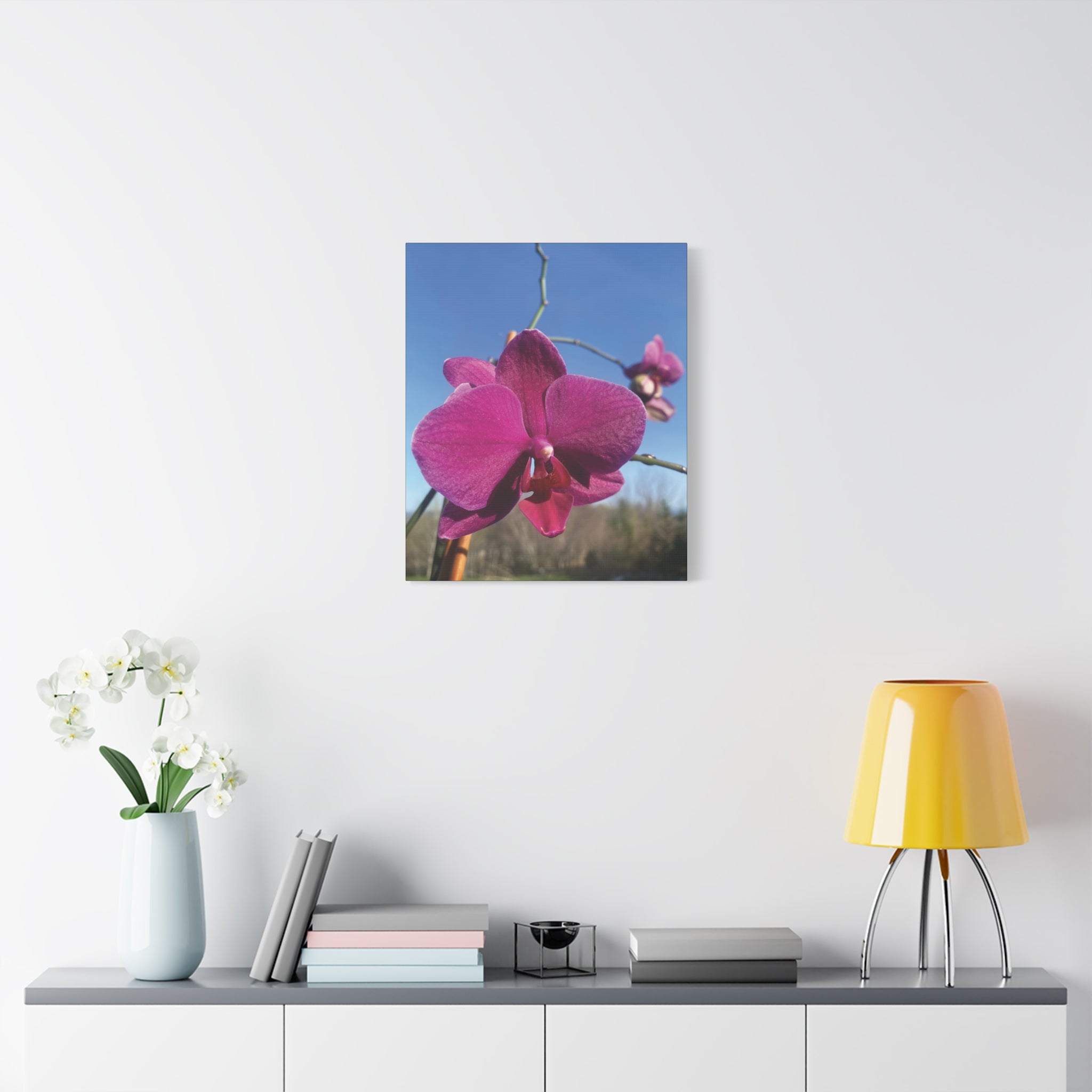 Fuchsia Orchid a Spring Photo Canvas Print — Matte Stretched 1.25"